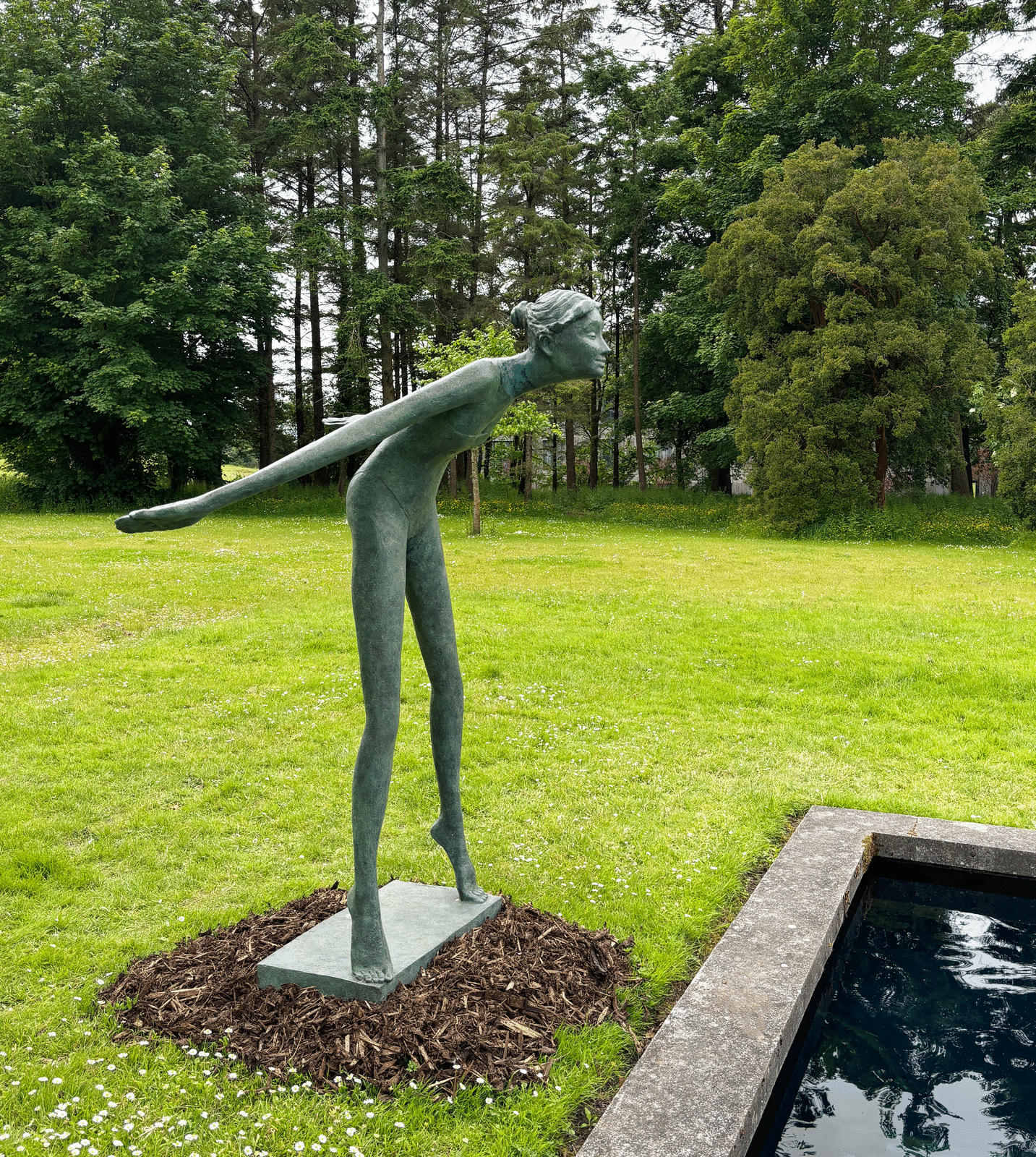 Bob Quinn, Into the Blue