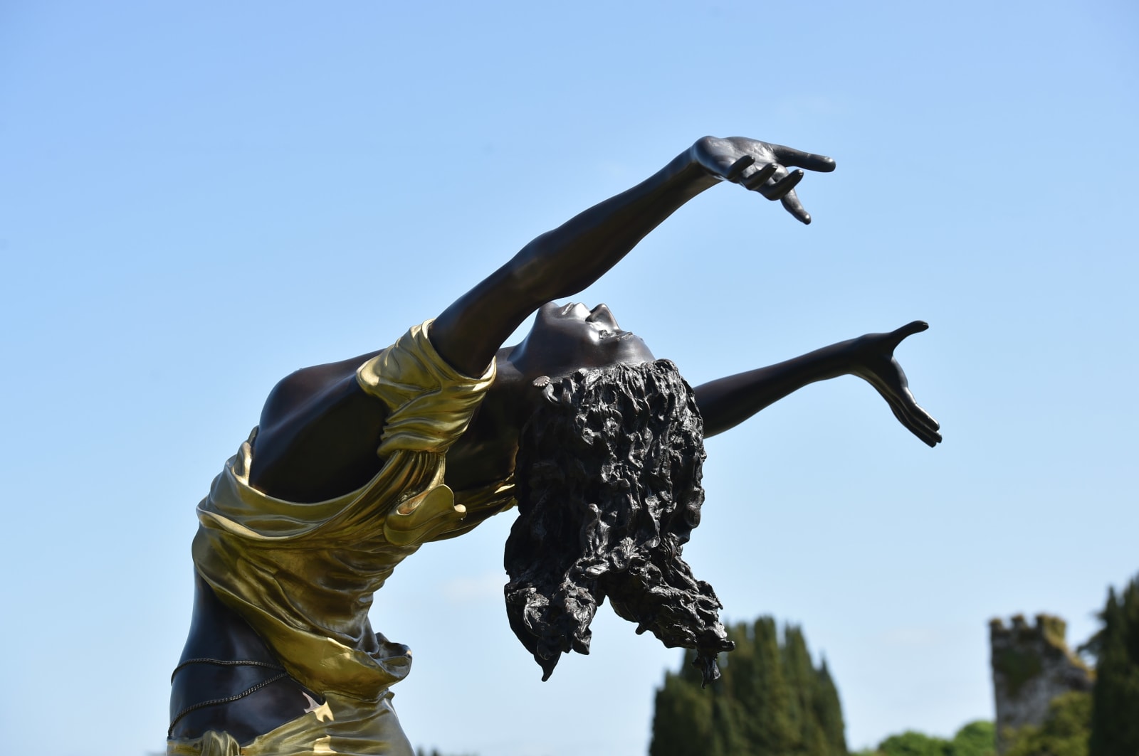 Paddy Campbell, Seven Veils (Medium)