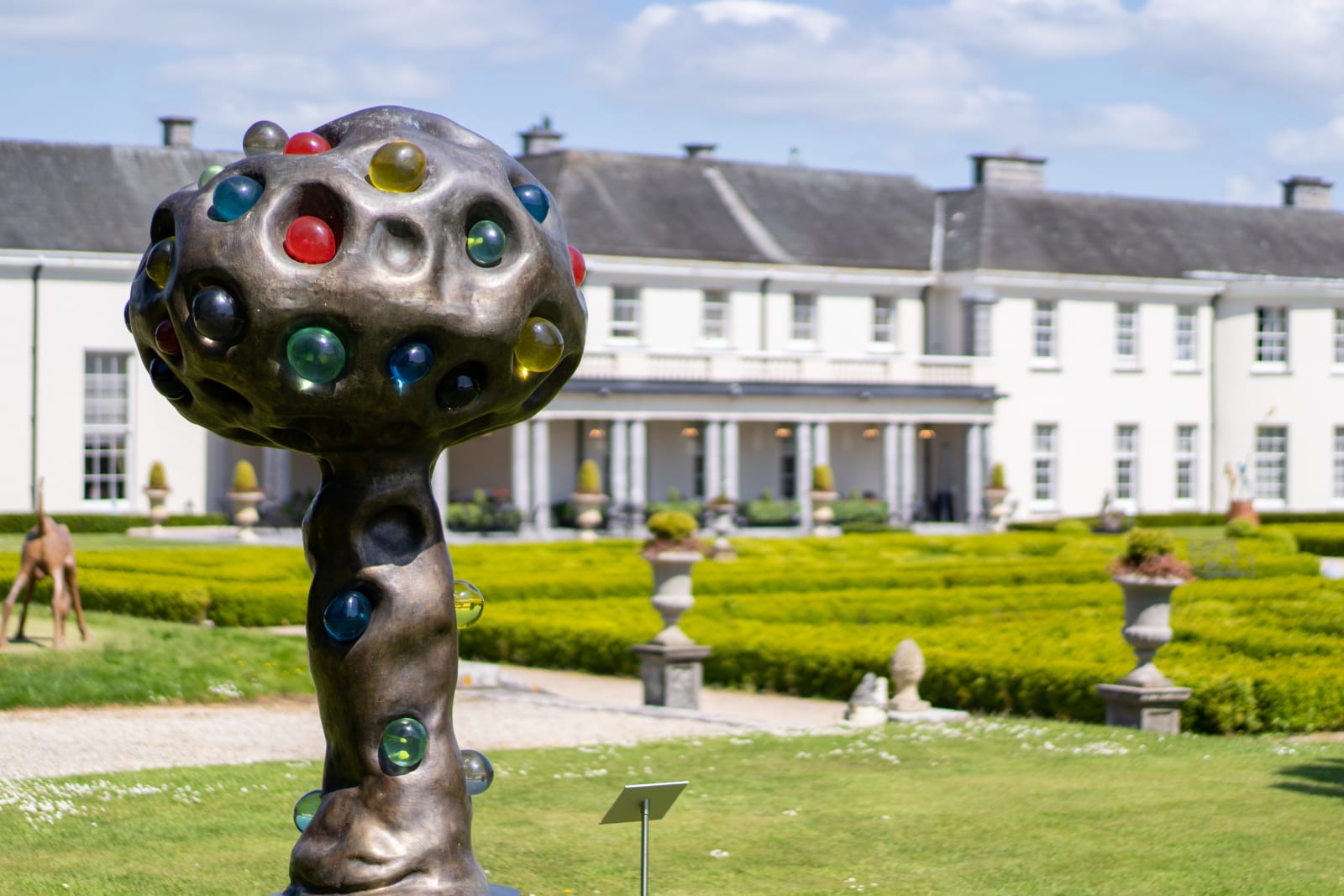 Patrick O'Reilly, Magic Tree