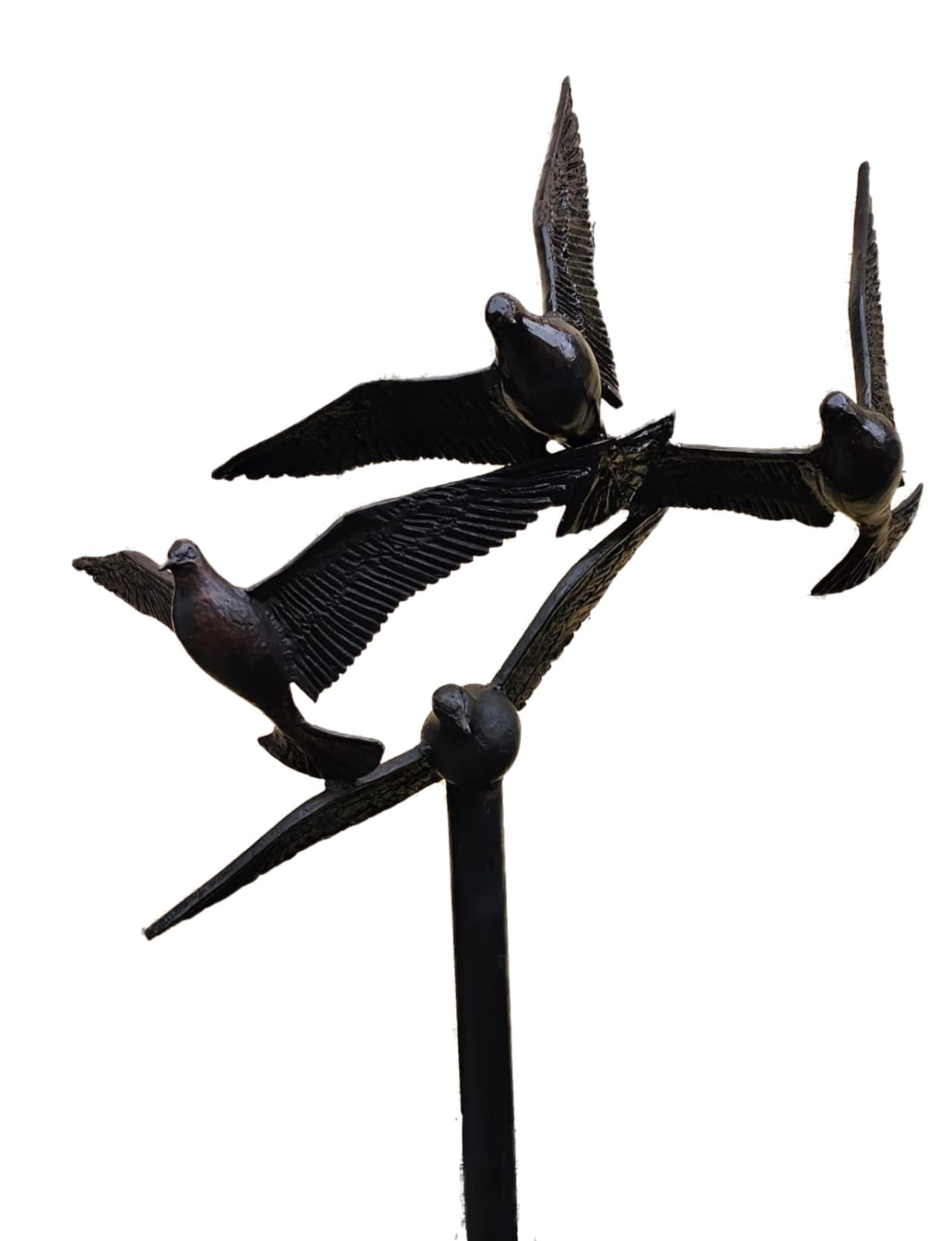 Colm Brennan, Evening Acrobatics