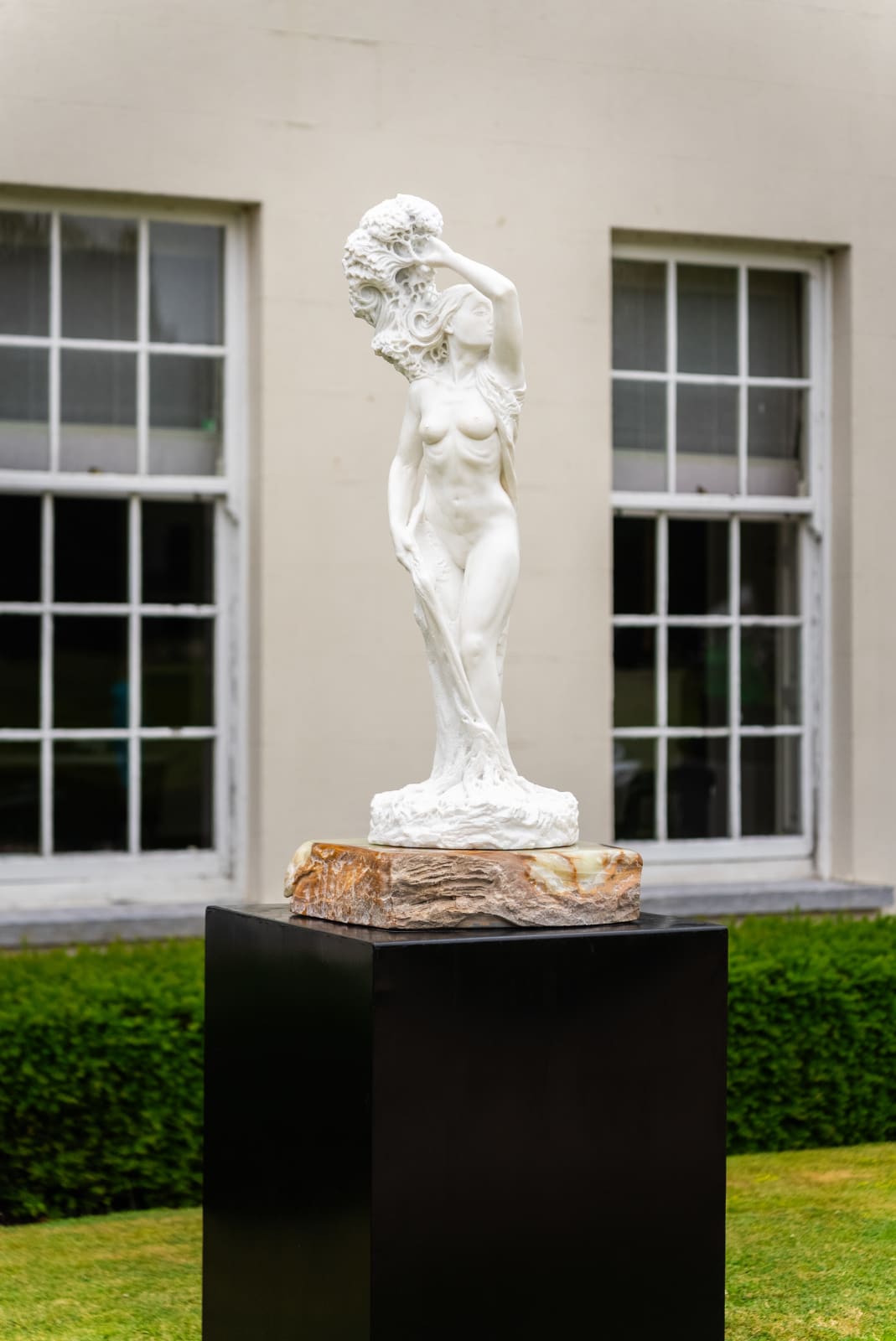 Dario Tazzioli, Daphne, 2025