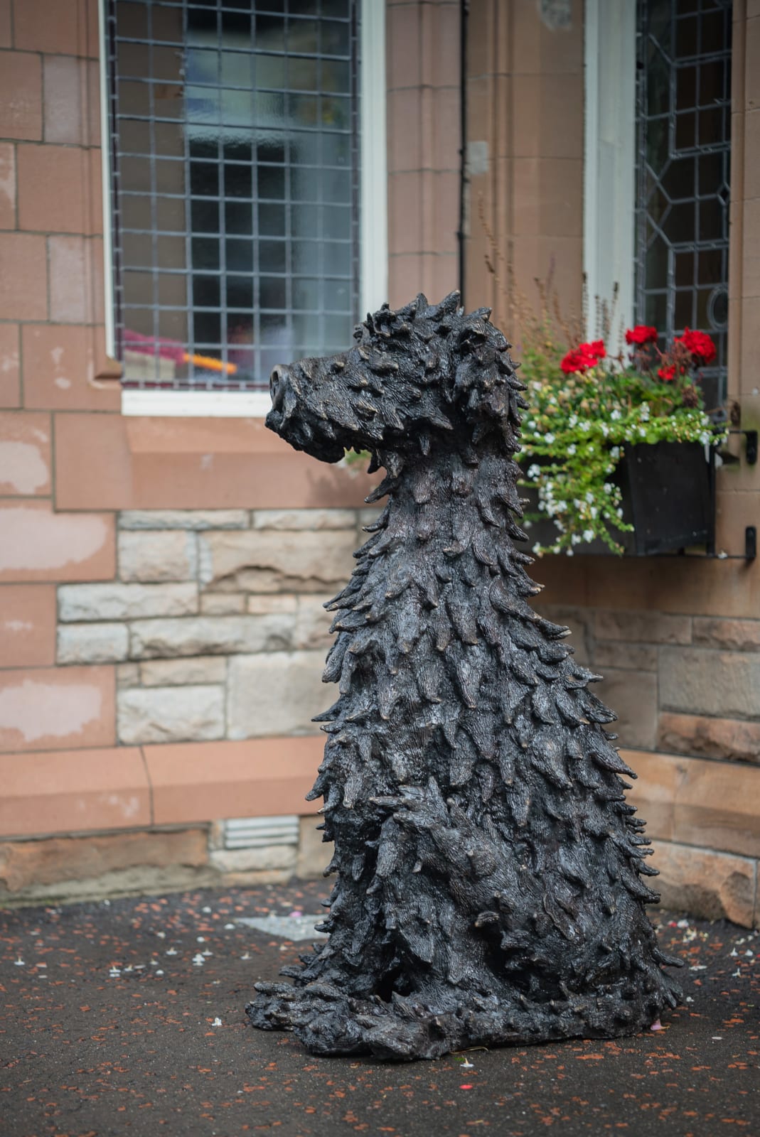 Patrick O'Reilly, Irish Wolfhound