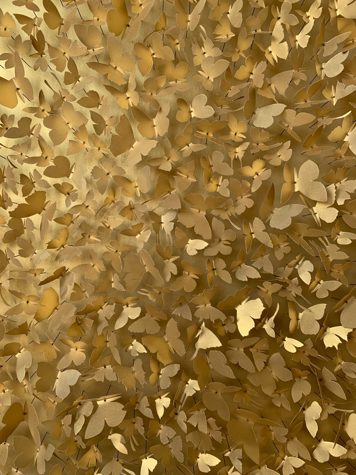Rebecca J Coles, Gold 02