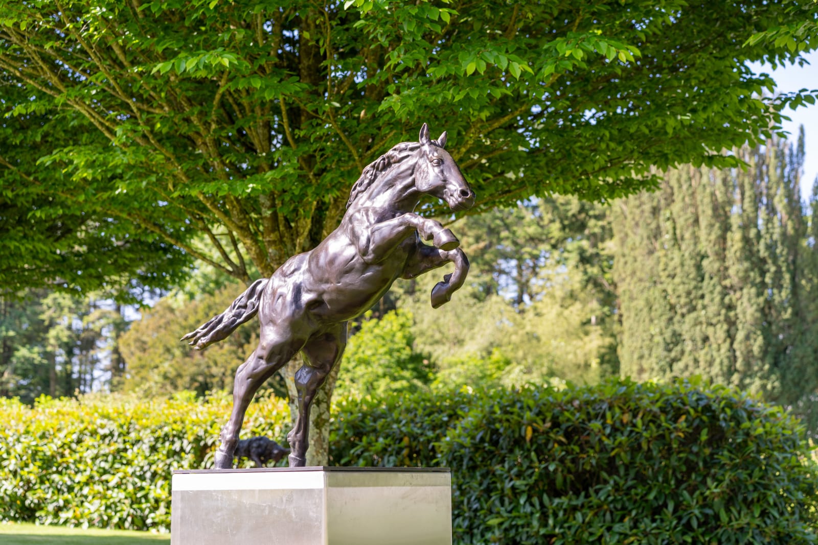 John Fitzgerald, Leap of Faith | One More Edition Available