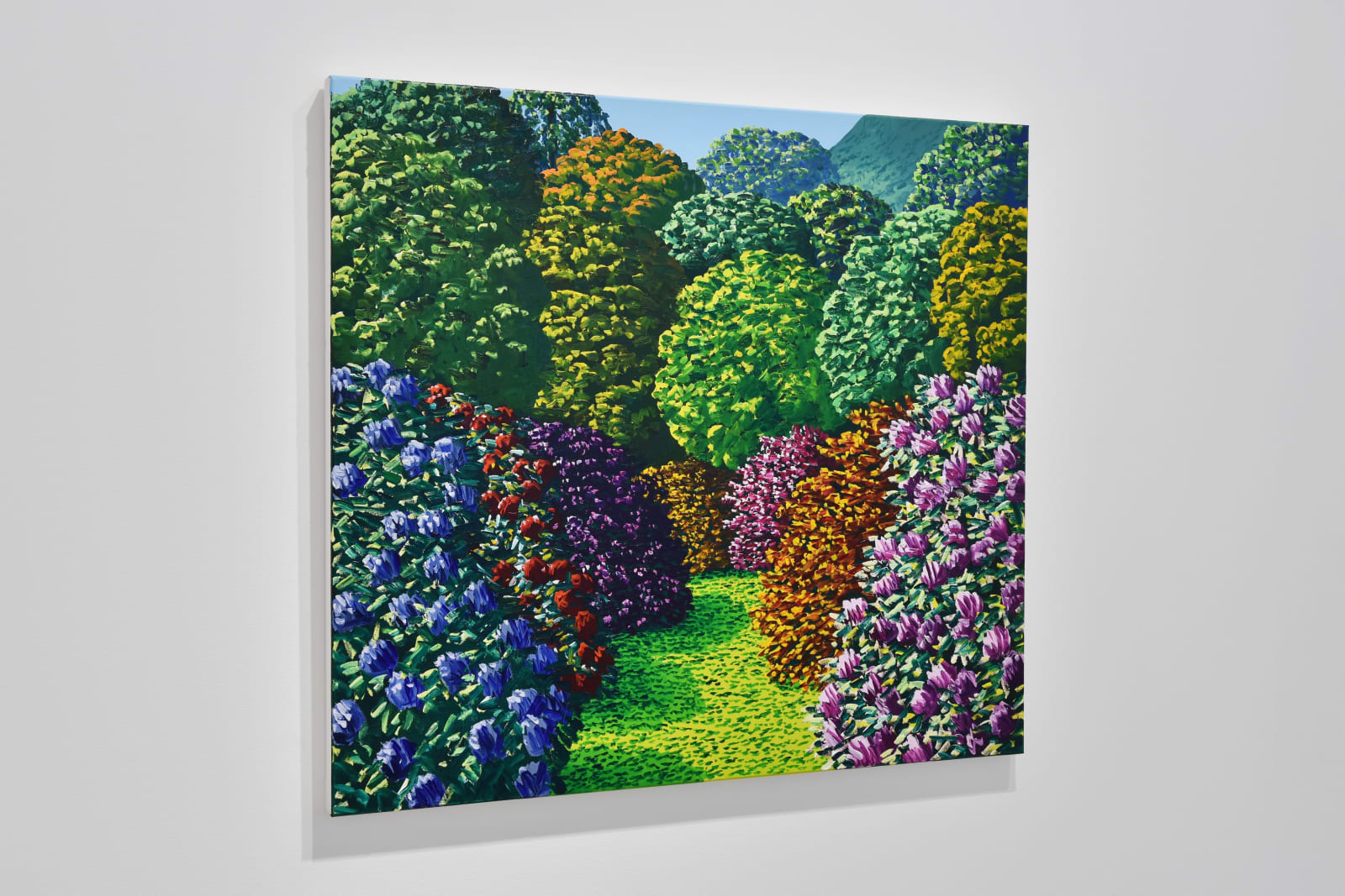 Karl Maughan, Kaimiro, 2025