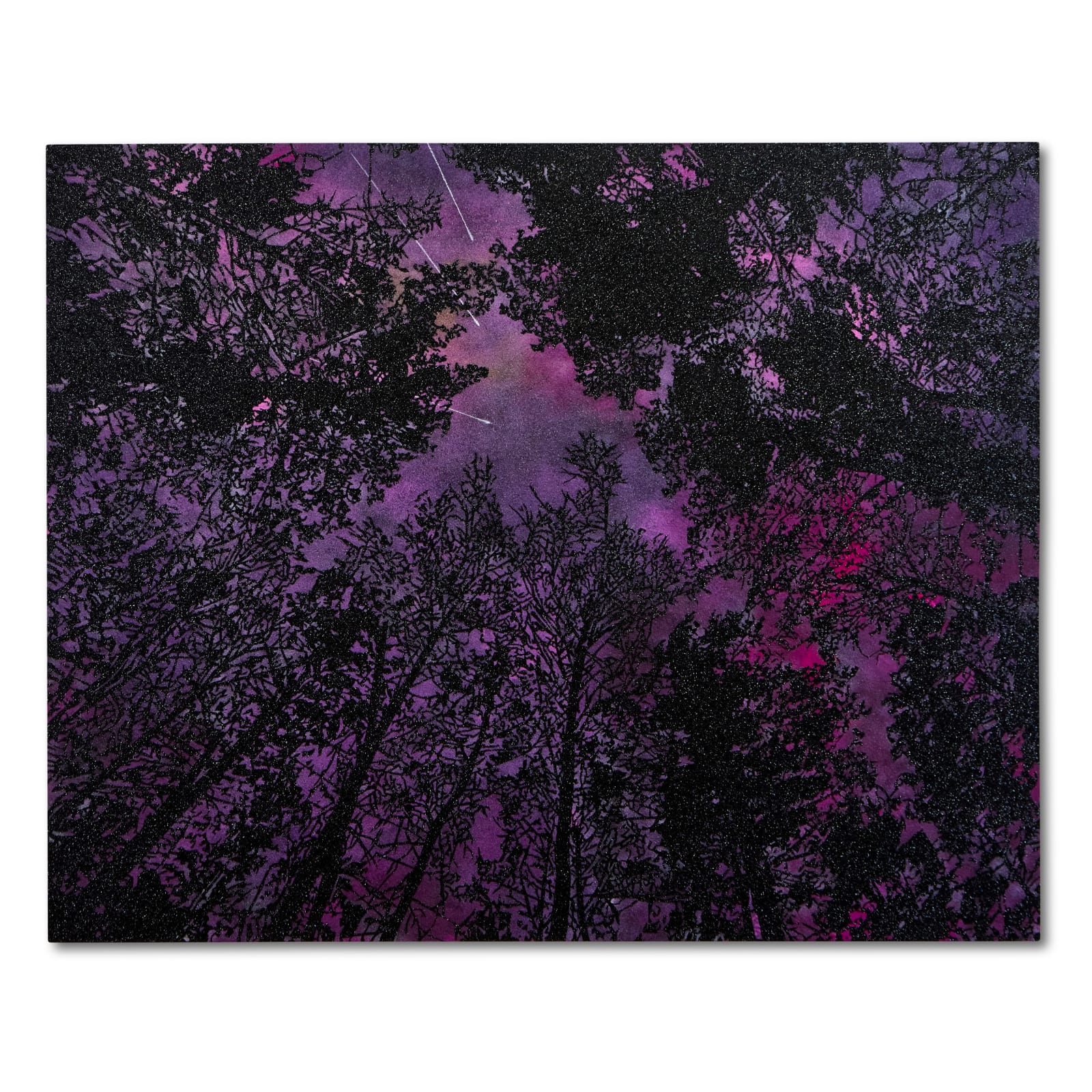 Reuben Paterson, One Beautiful Morning, in the Land of a Very Gentle People (Meteors Delta Aquariids, late July 28, 2025), 2025