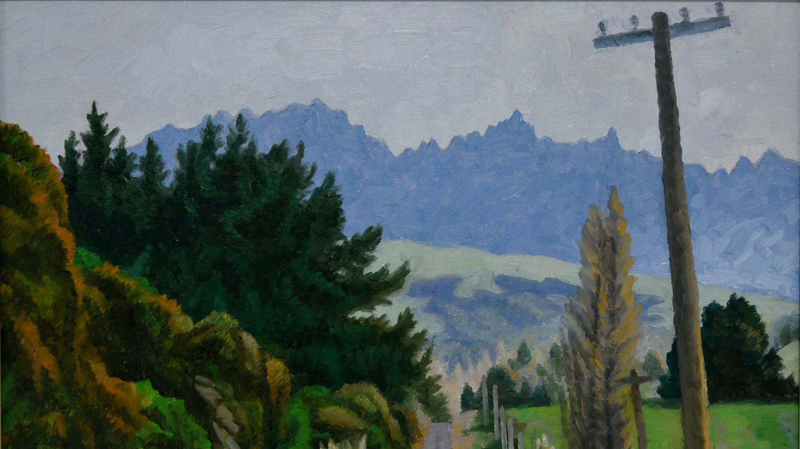 Dick Frizzell, Waikite Valley, 2024