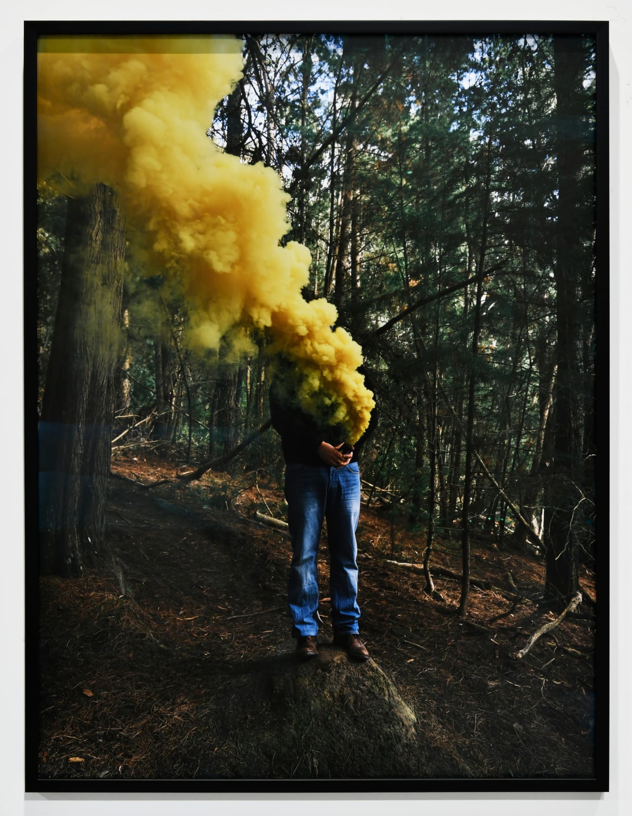 Steve Carr, Smoke Clouds 2, 2025