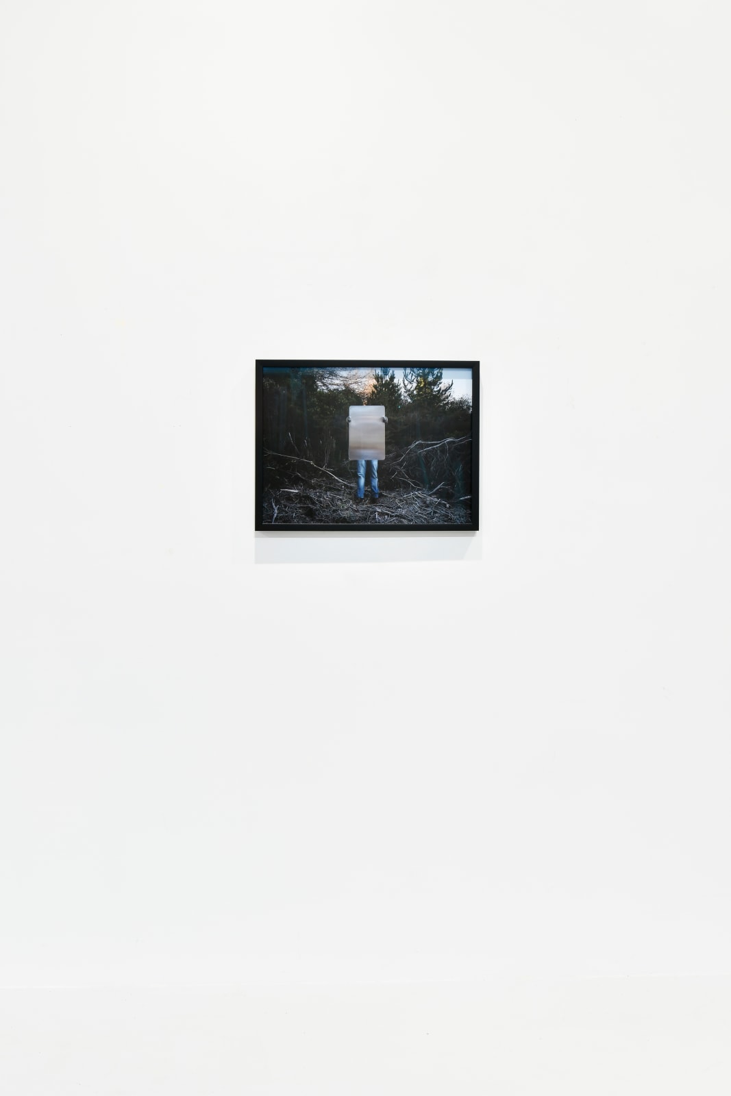 Steve Carr, Invisibility Shields 2, 2025