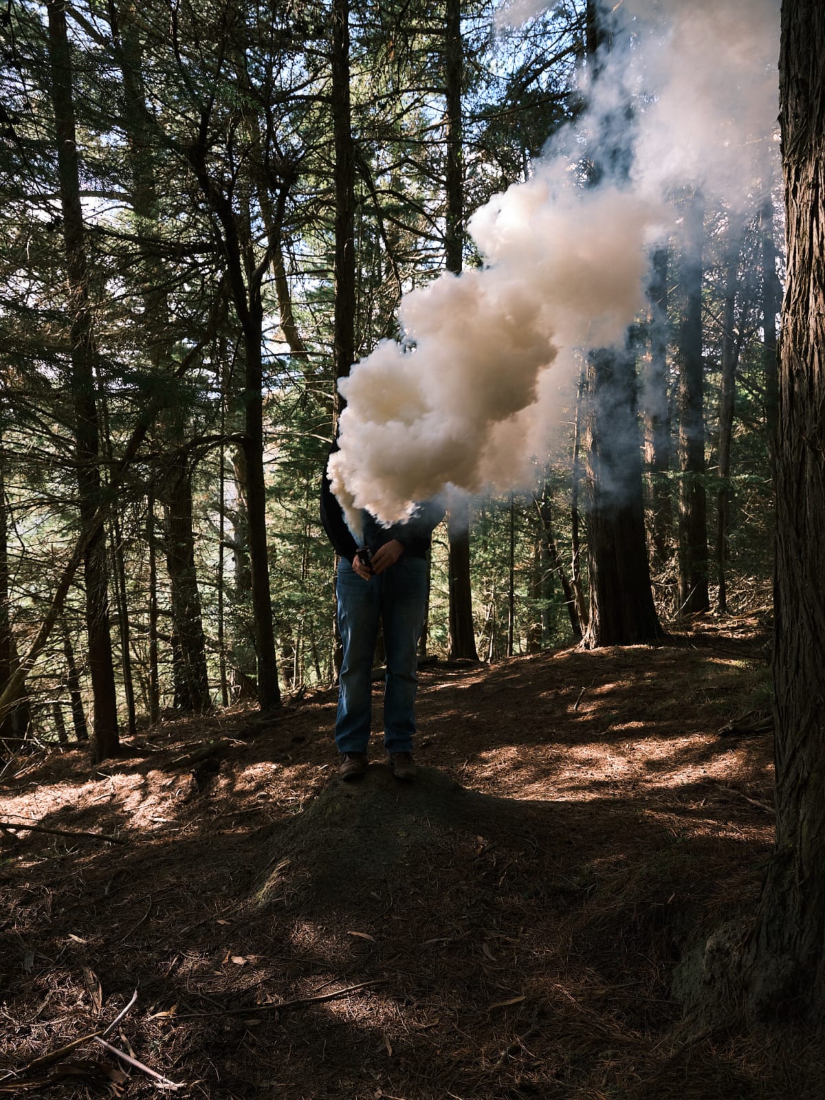 Steve Carr, Smoke Clouds 6, 2025