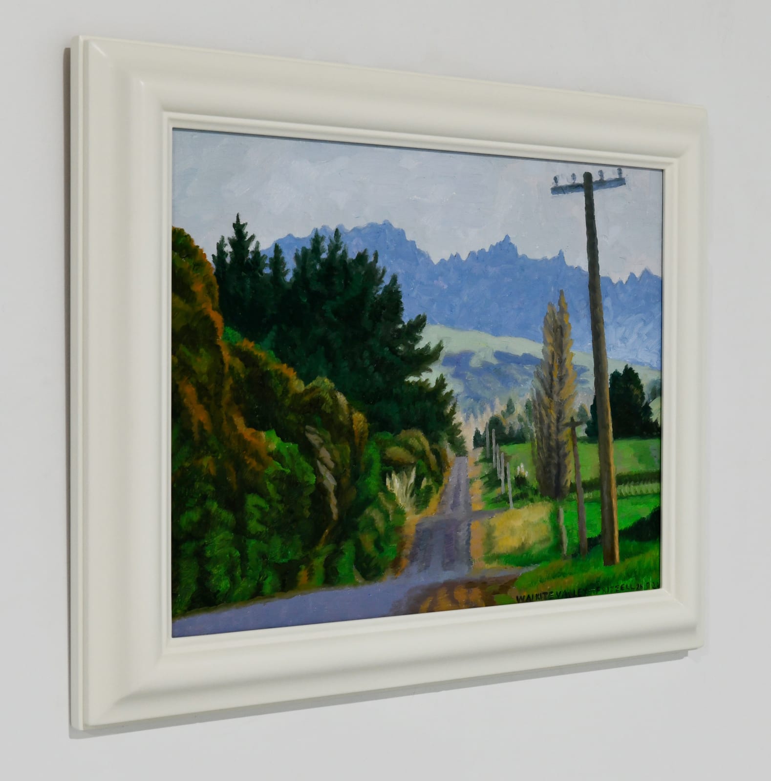 Dick Frizzell, Waikite Valley, 2024