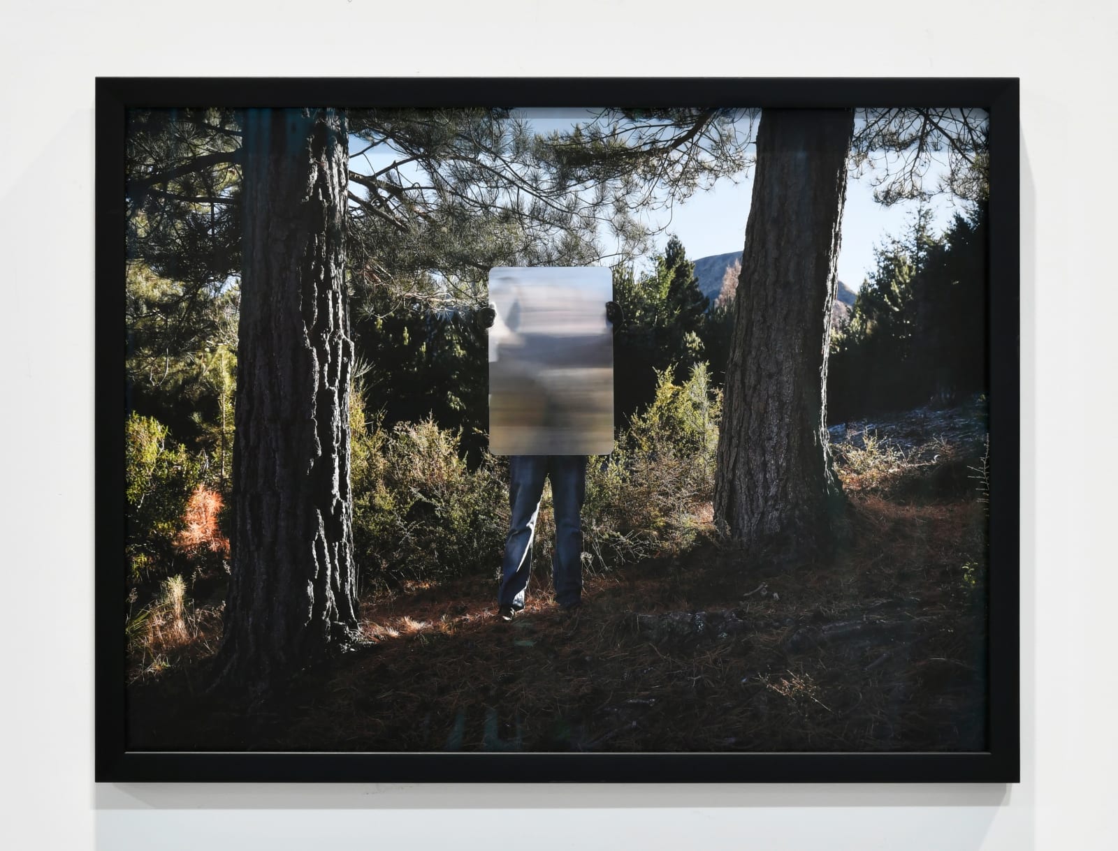 Steve Carr, Invisibility Shields 3, 2025