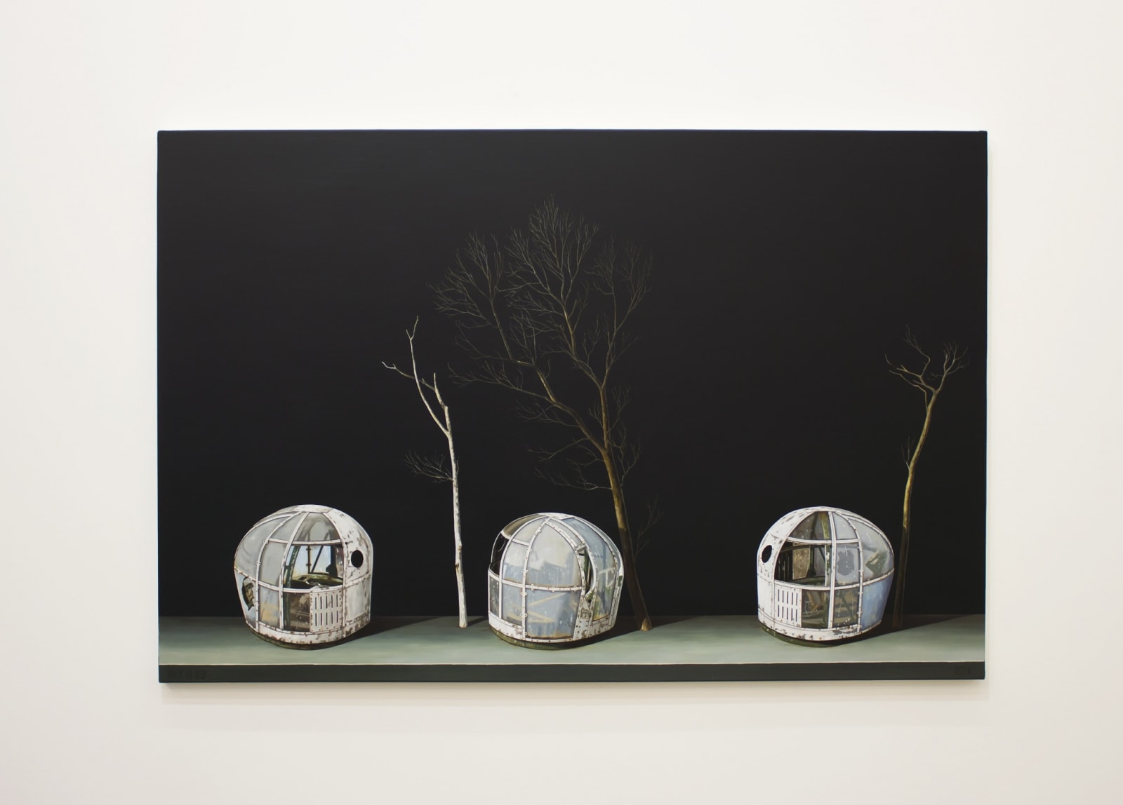 Michael Hight, Ohakea The Decoy, 2016