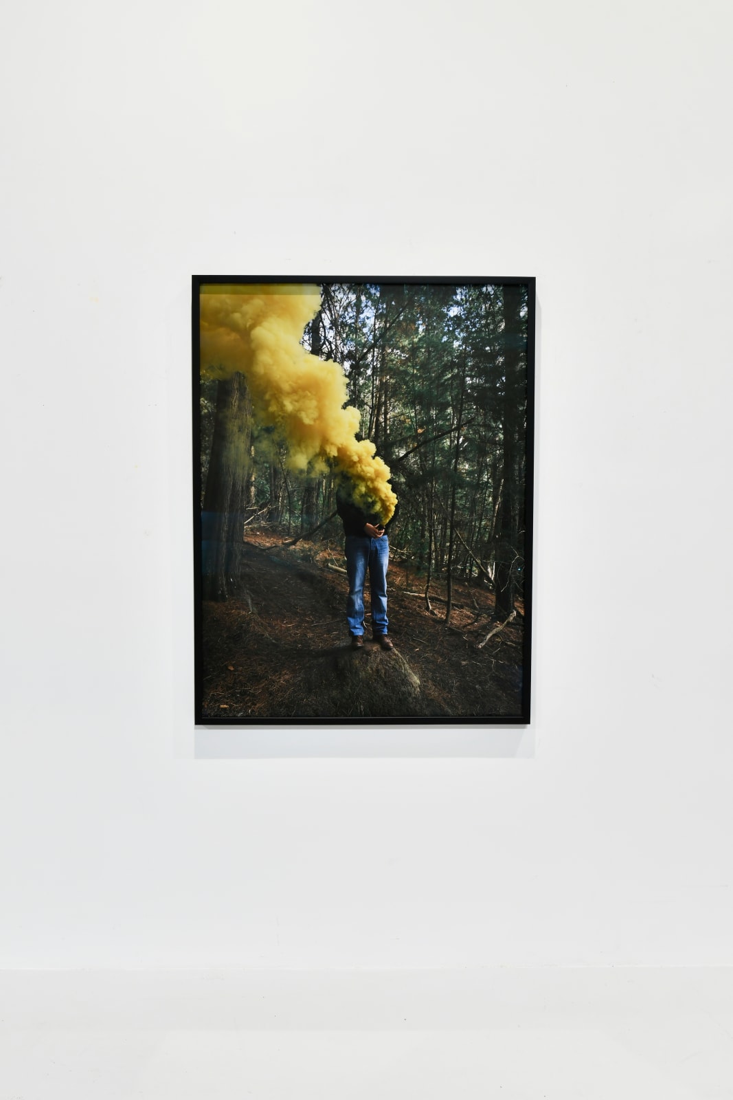 Steve Carr, Smoke Clouds 2, 2025