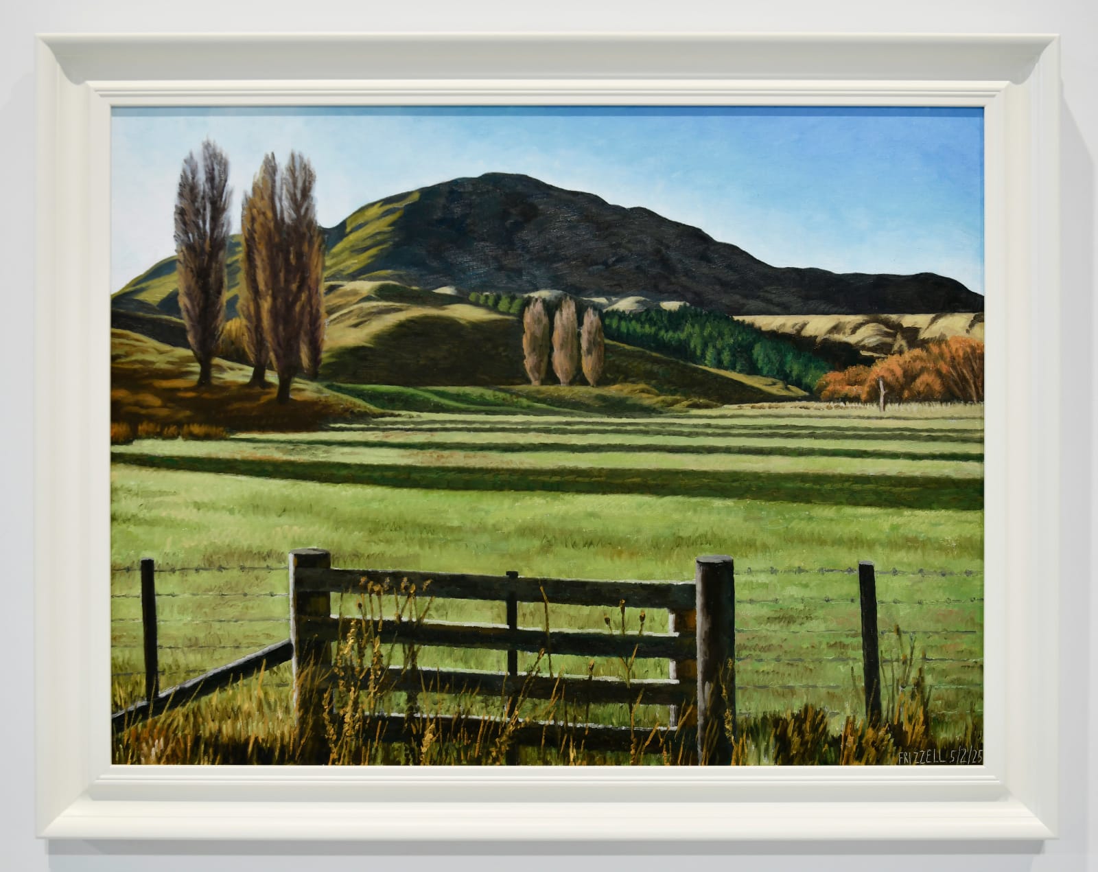 Dick Frizzell, Gate, 2025