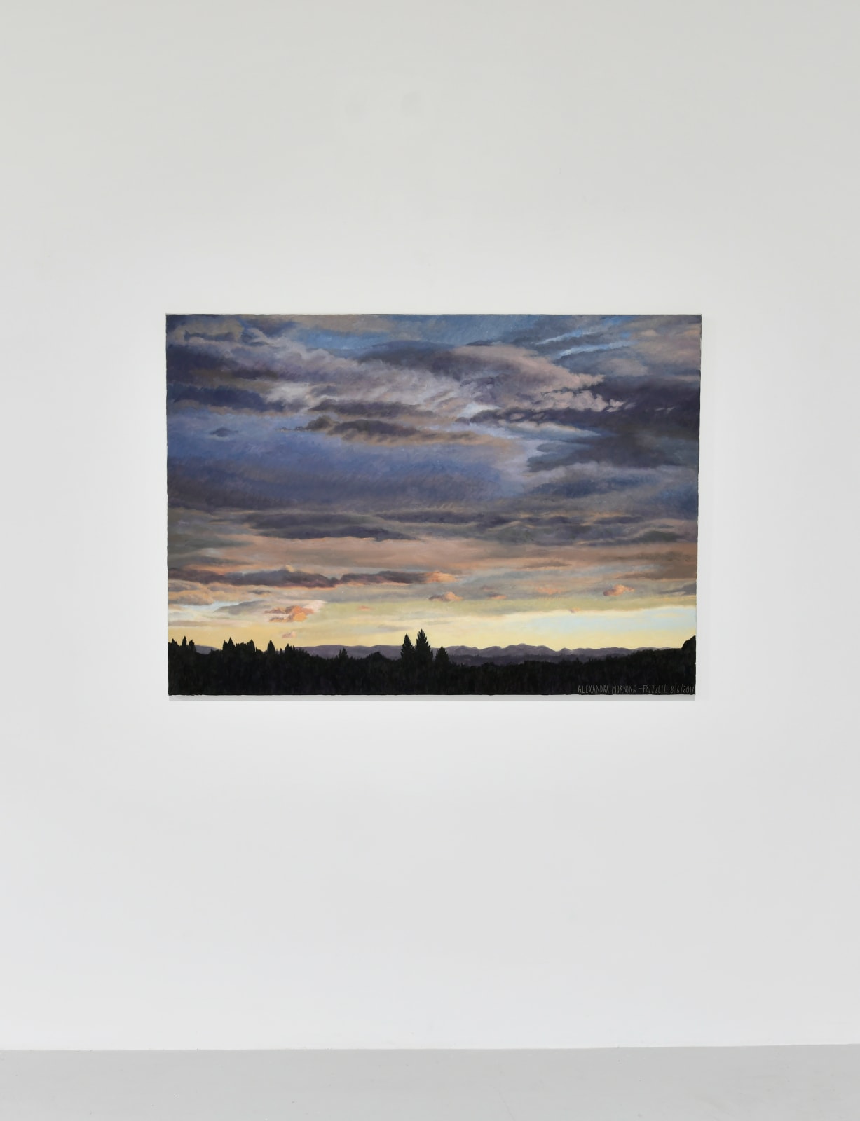 Dick Frizzell, Alexandra Morning, 2019