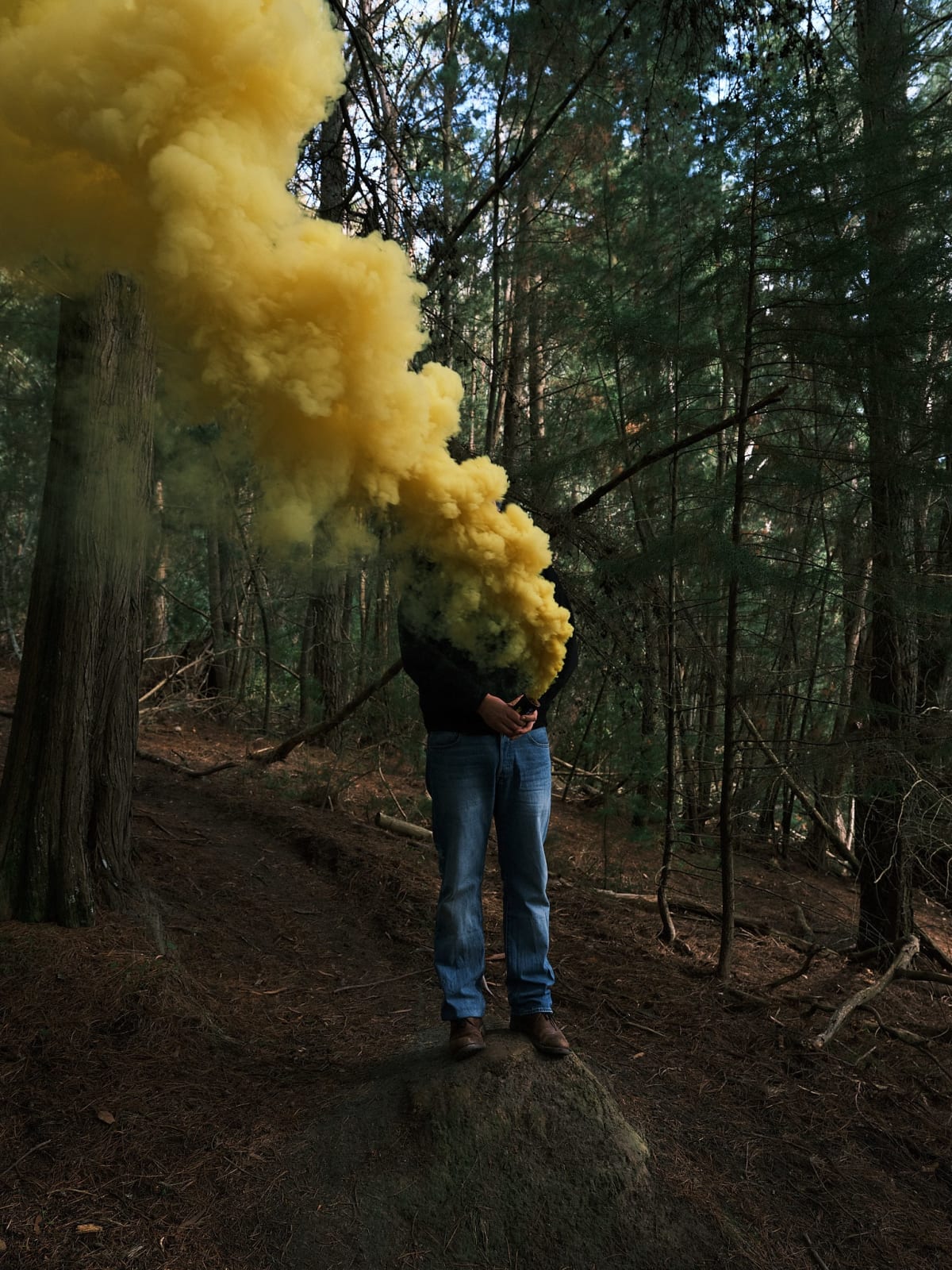 Steve Carr, Smoke Clouds 2, 2025