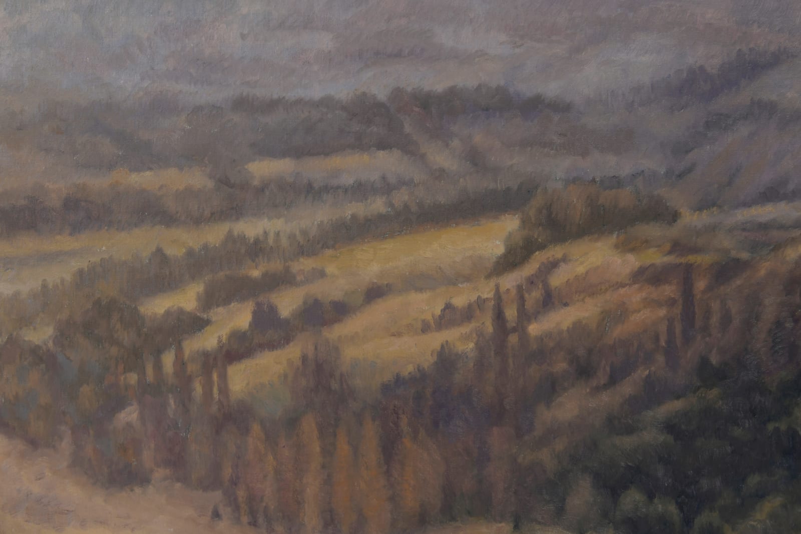 Dick Frizzell, The Basin, 2024