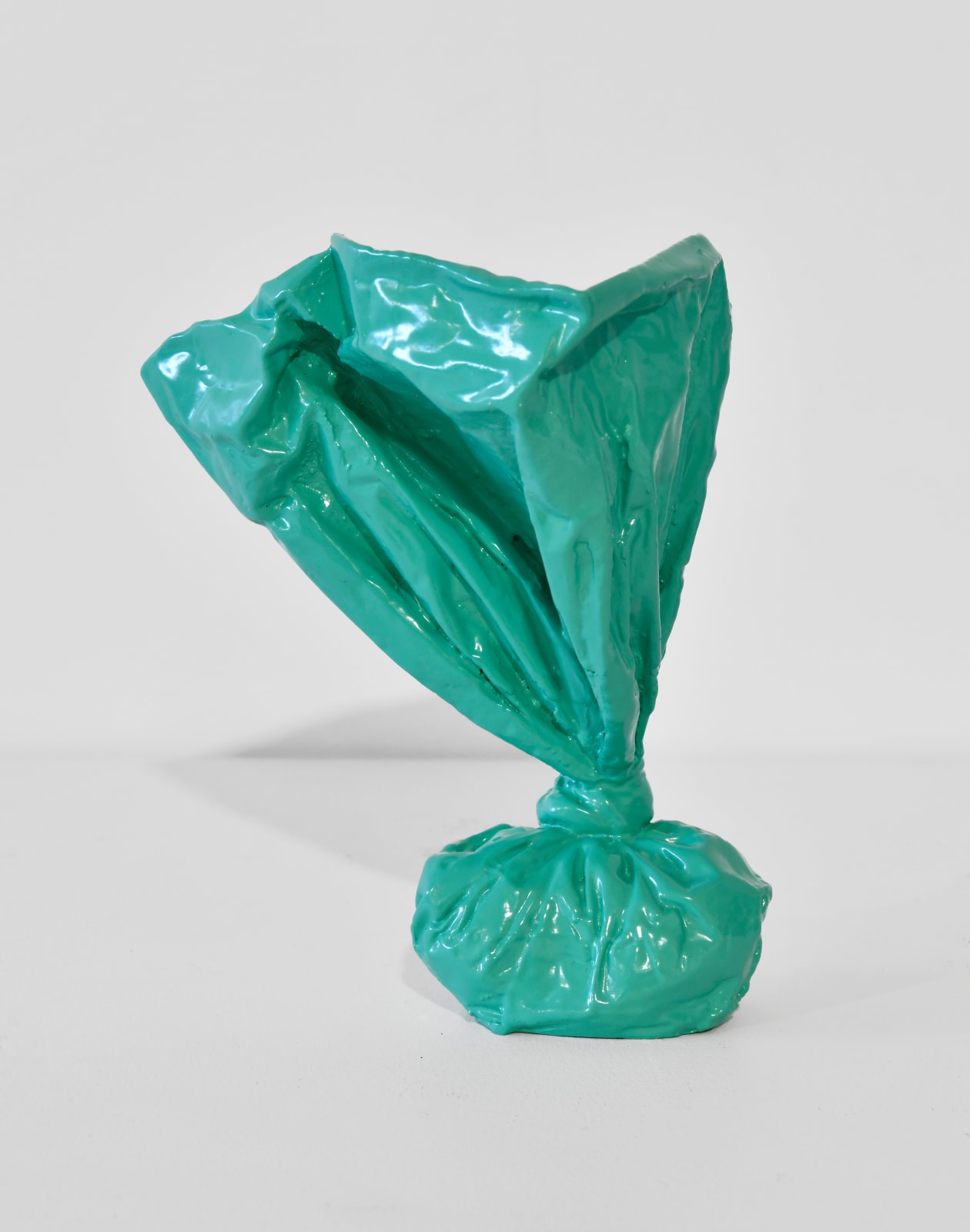 Steve Carr, Doggie Poo Bag, 2025