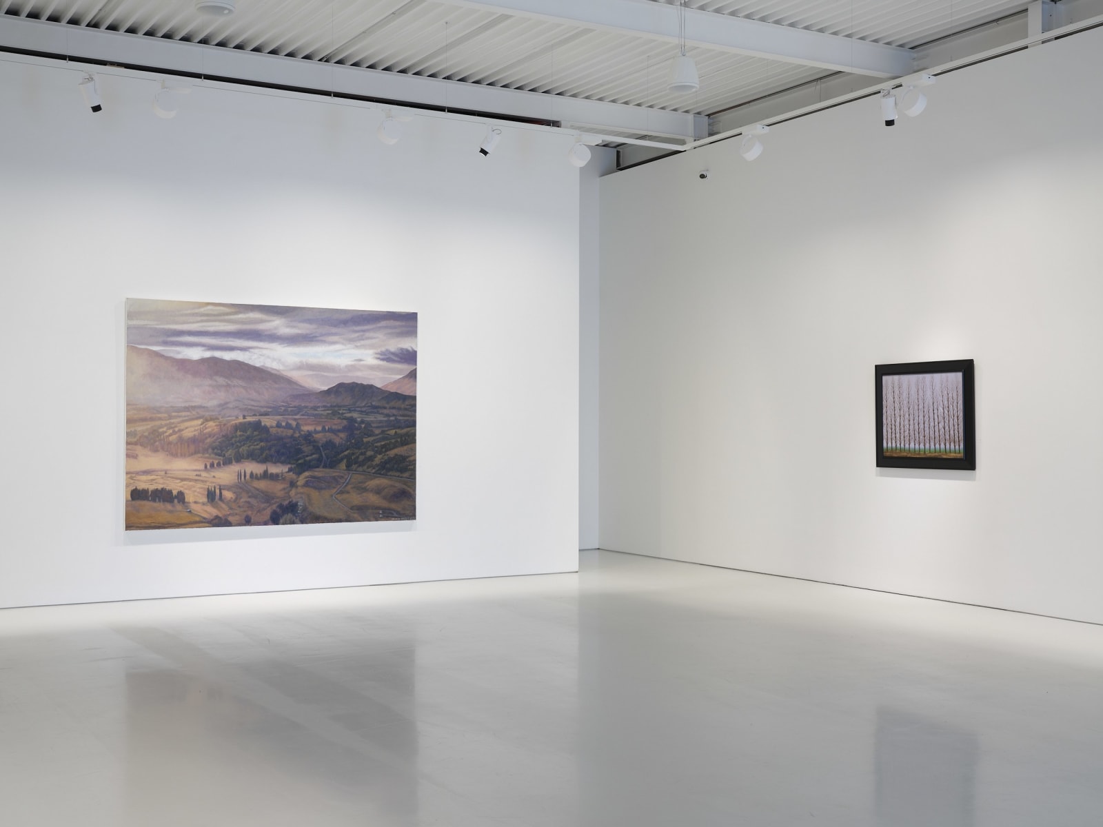 Dick Frizzell, The Basin, 2024