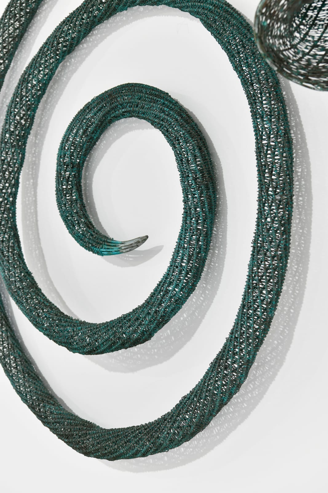 Bronwyn Oliver, Horn, 1992