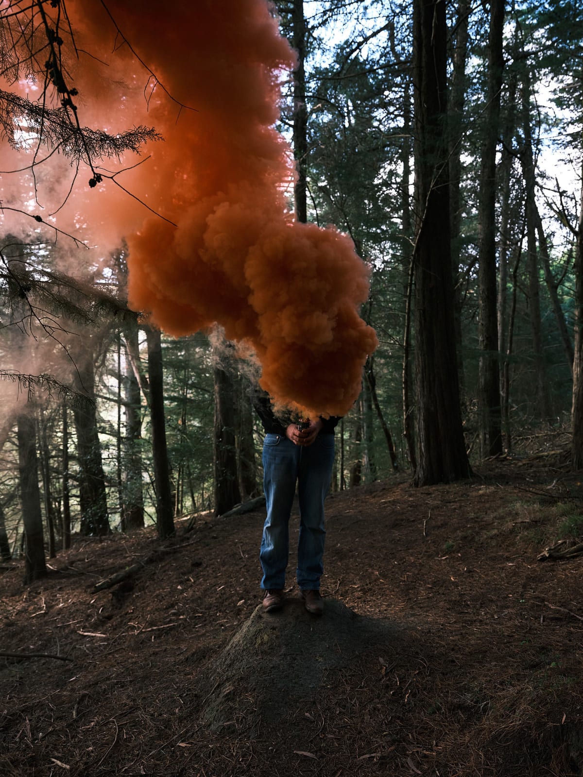 Steve Carr, Smoke Clouds 5, 2025