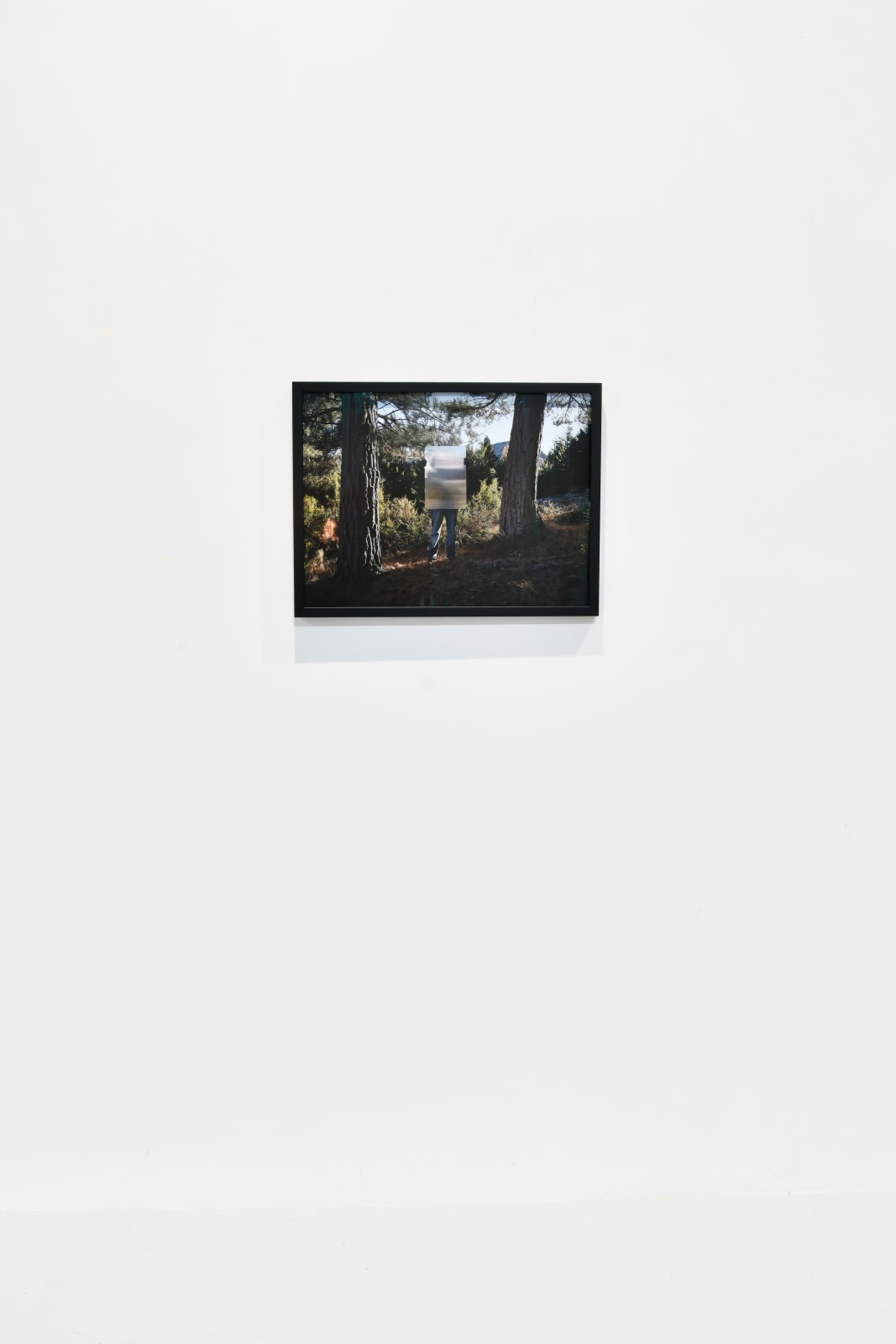 Steve Carr, Invisibility Shields 3, 2025