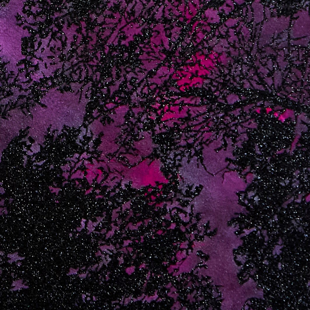 Reuben Paterson, One Beautiful Morning, in the Land of a Very Gentle People (Meteors Delta Aquariids, late July 28, 2025), 2025