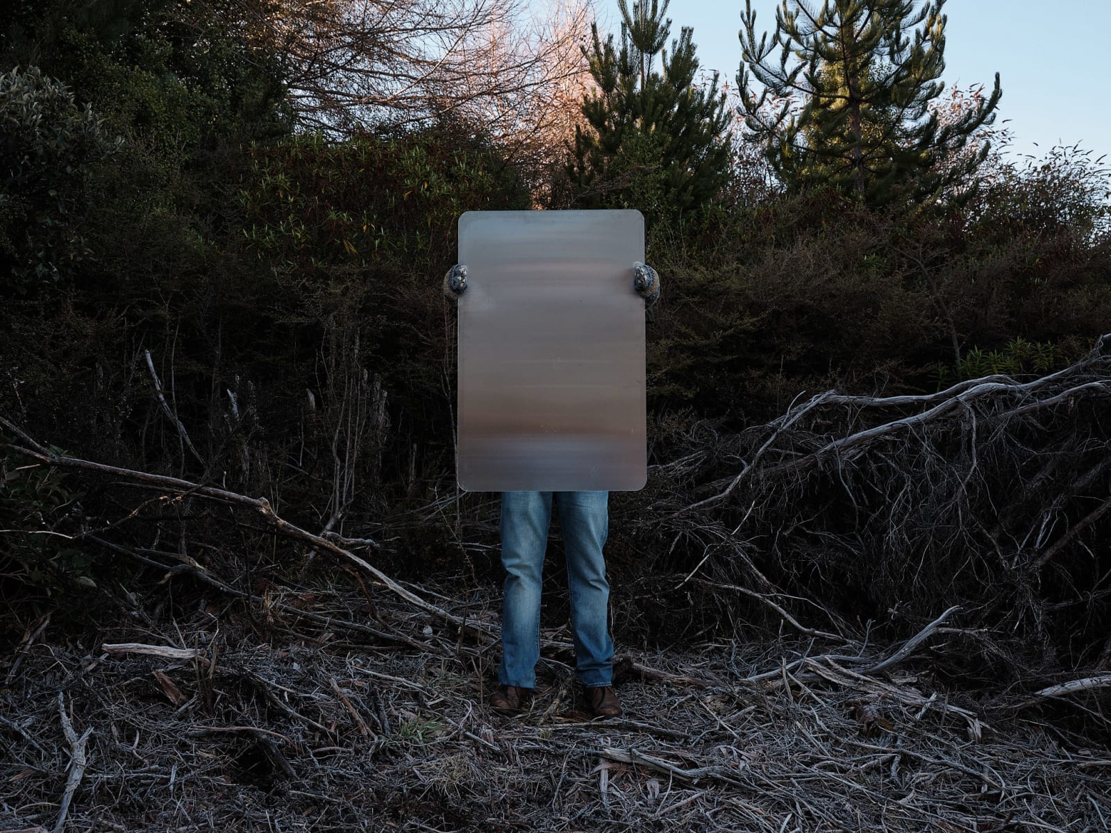 Steve Carr, Invisibility Shields 2, 2025