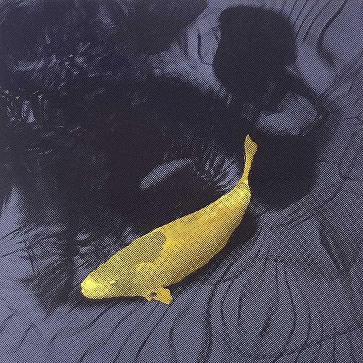 Diane Dawson, Glimpse I, 2024