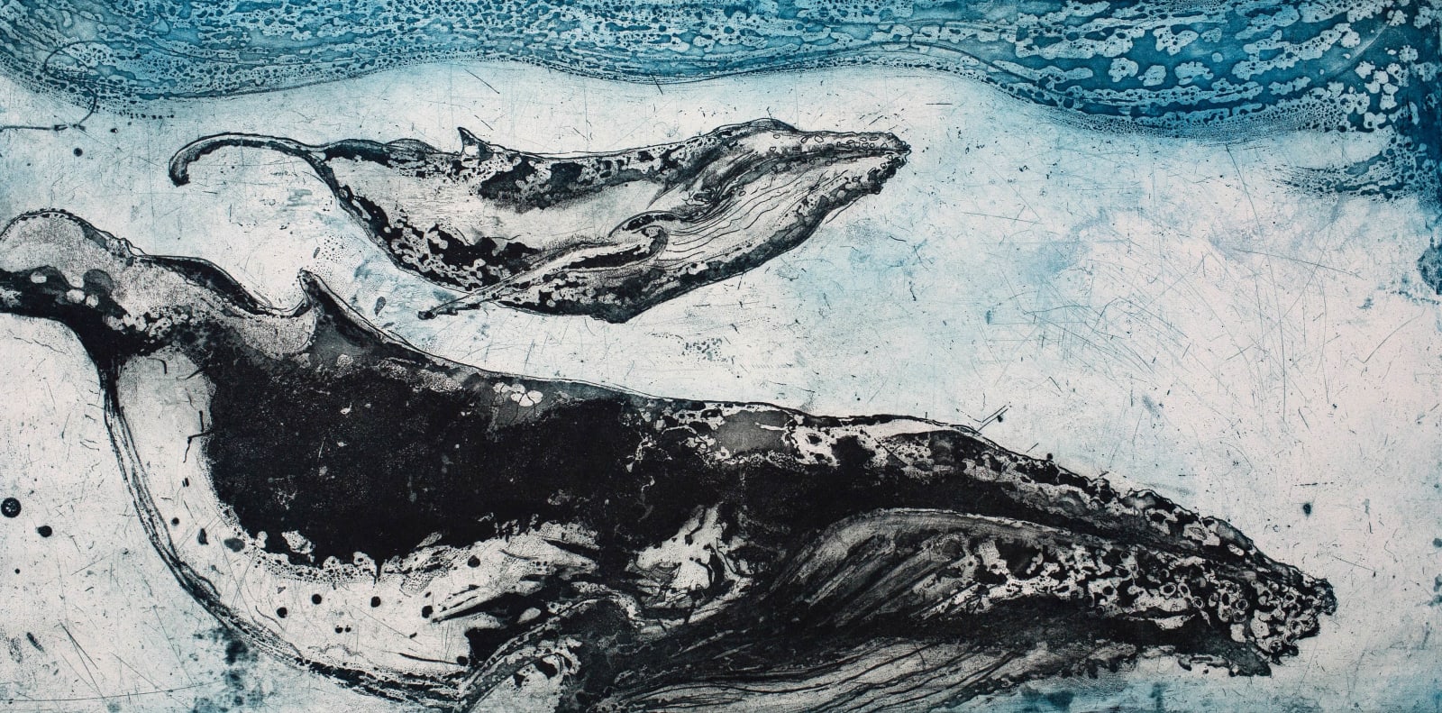 Marion MacPhee, Humpback and Calf, 2012