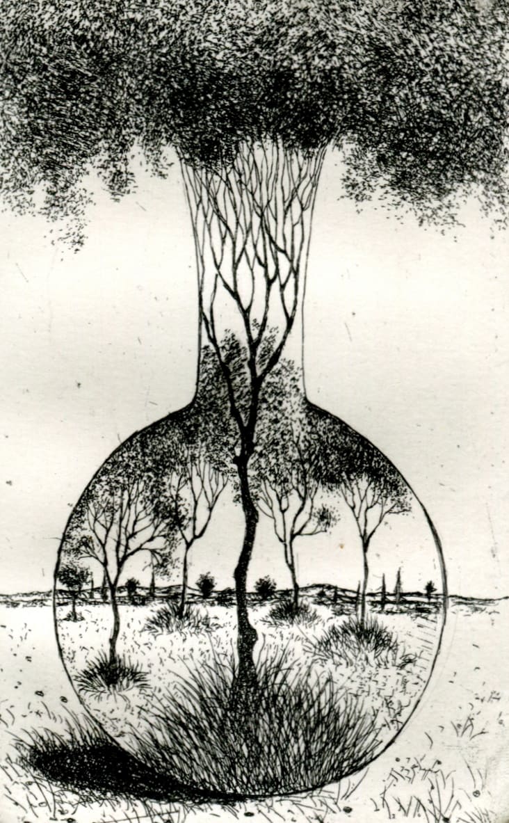 Heather Nevay, Shelter