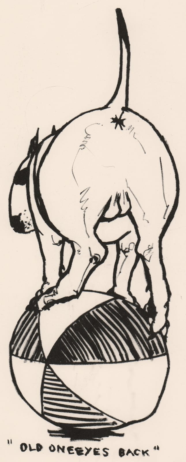 Ray Richardson, Old One Eyes Back, 1994