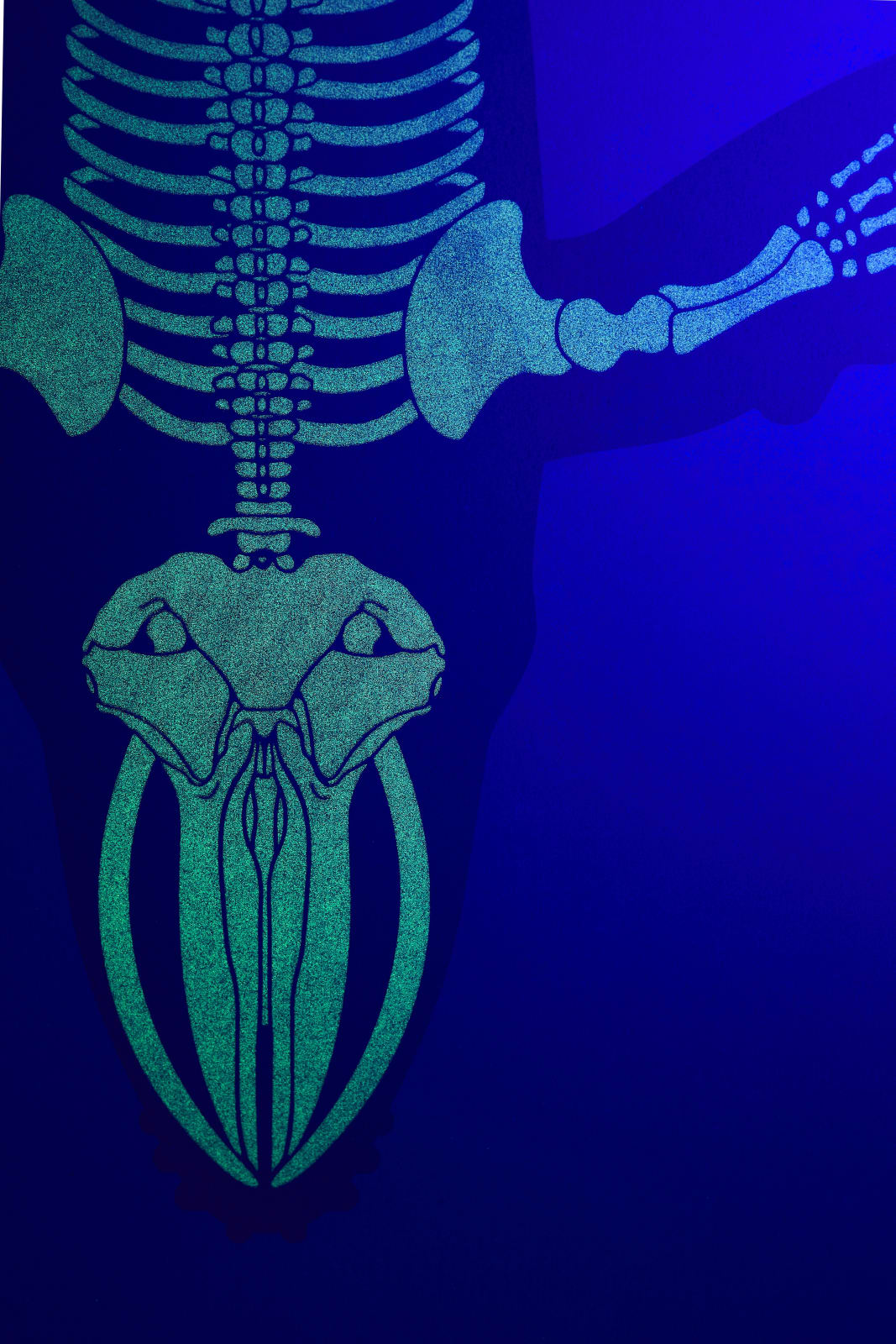 Under the Skin, Lonely Whale, 2020