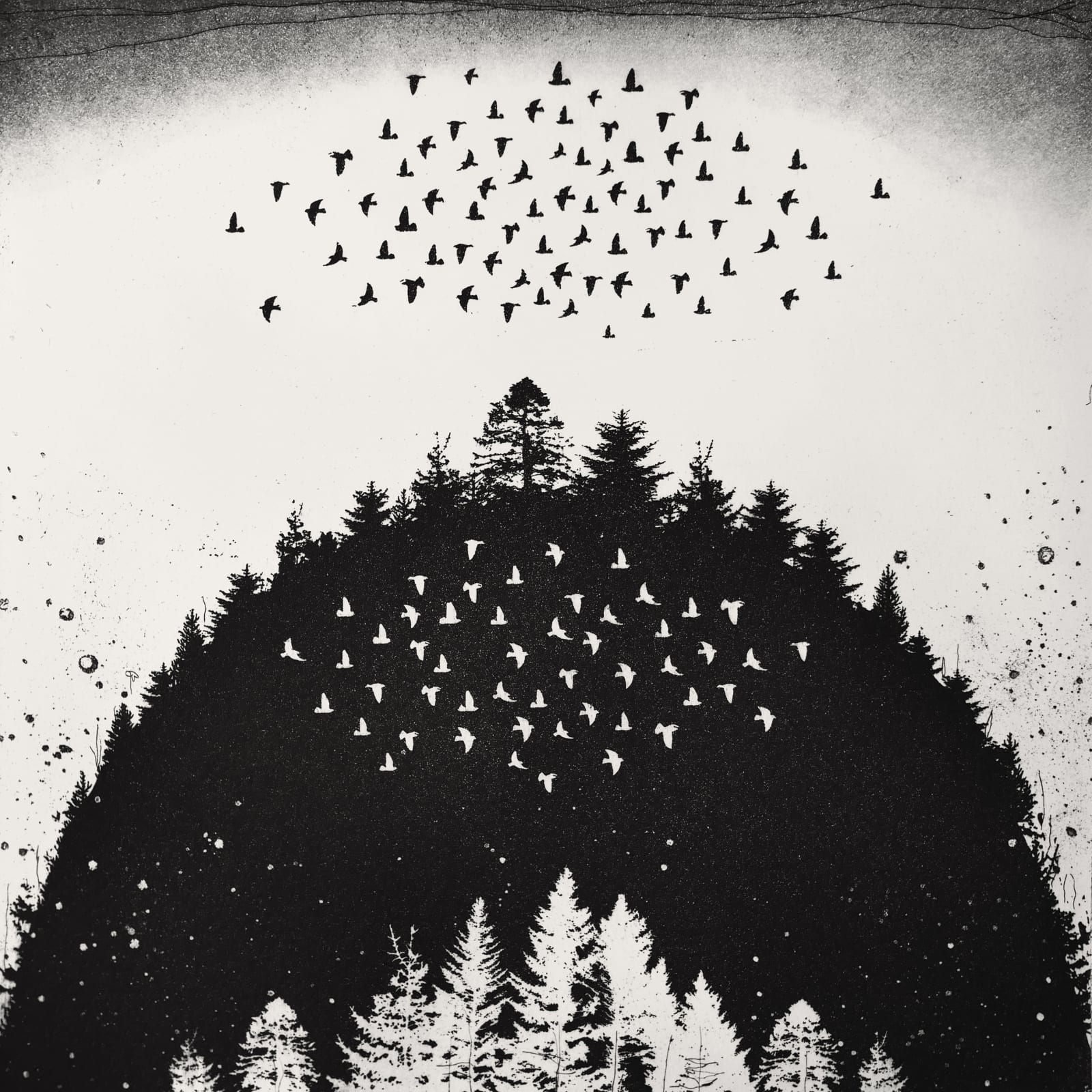 Fiona Watson, The Living Mountain, 2015