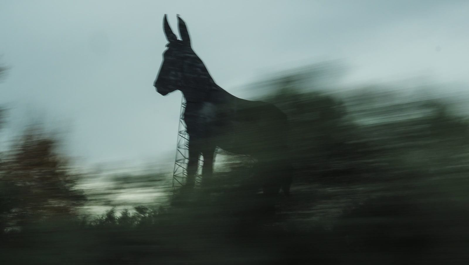 Ian Collins, El Burro Grande De El Carpio, 2016