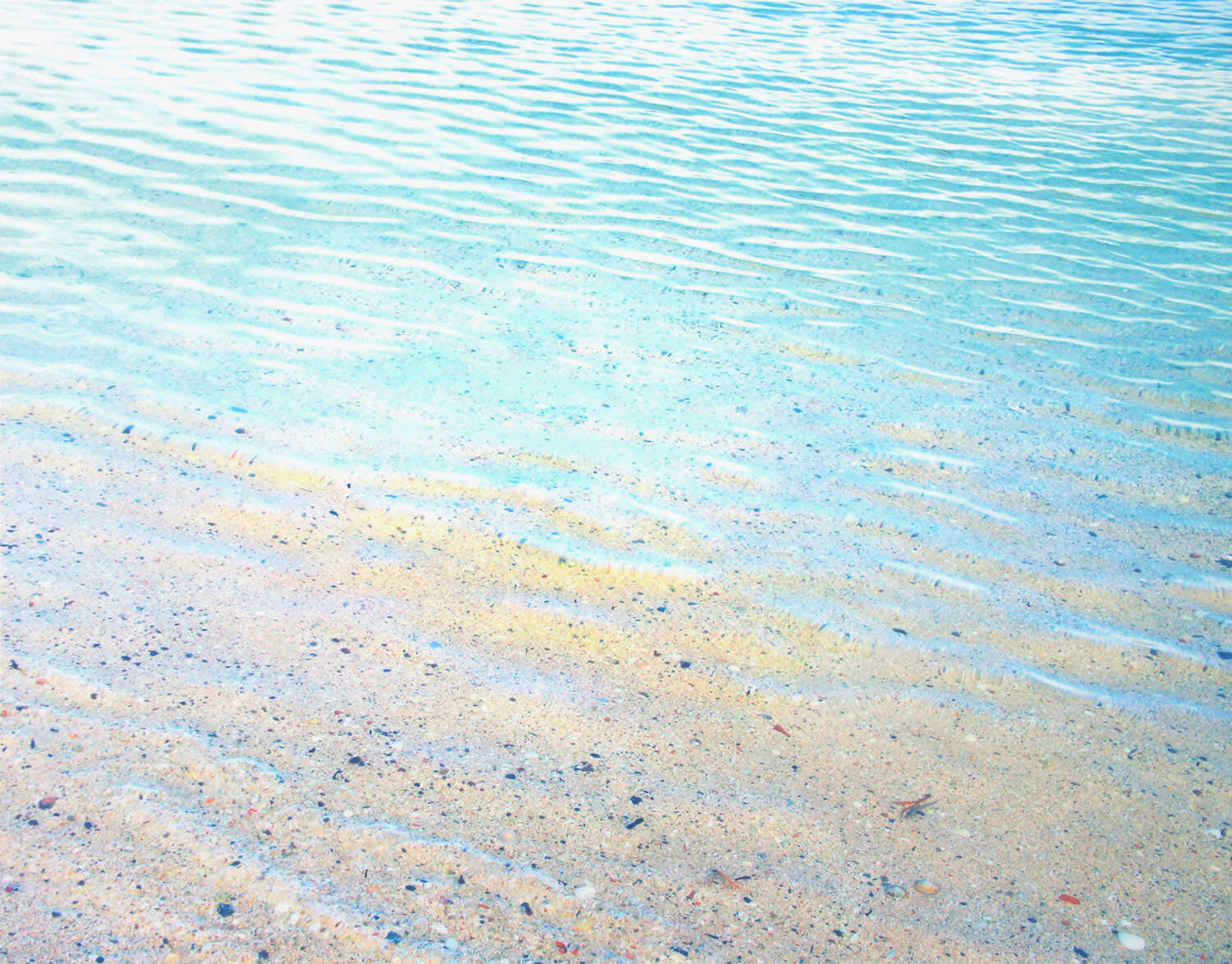 John Mackechnie, Bunacaimb, 2013