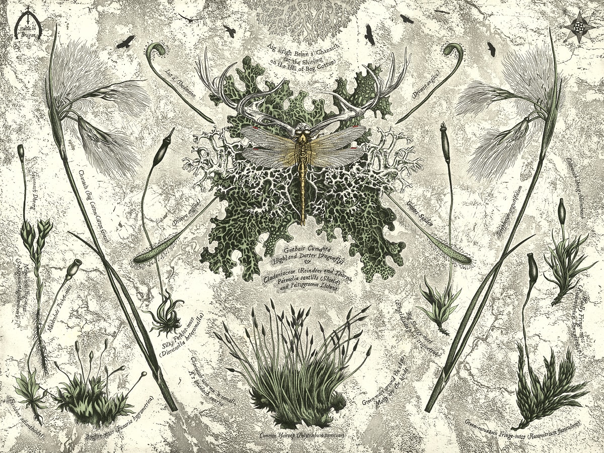 Murray Robertson, On the Hill of Bog Cotton, 2013