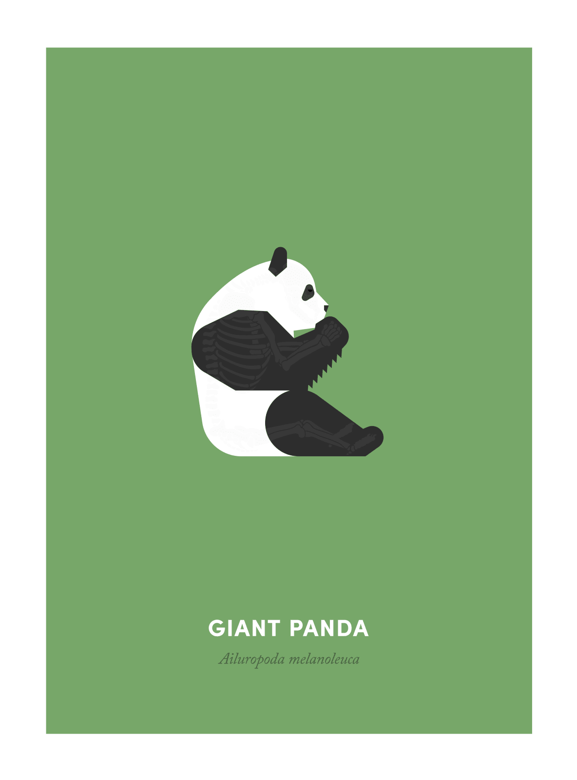 Under the Skin, Giant Panda, 2015
