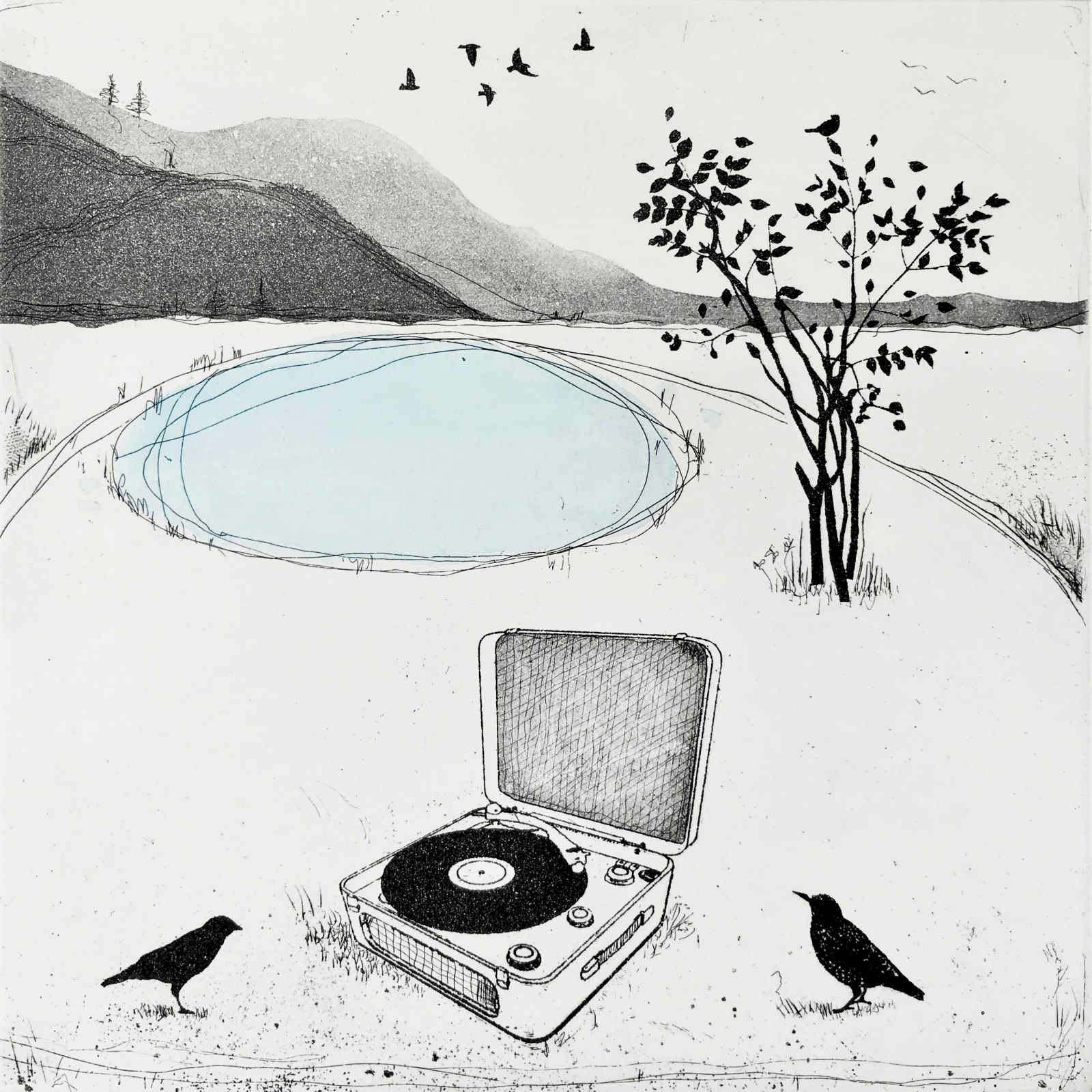 Fiona Watson, Listening for Birds