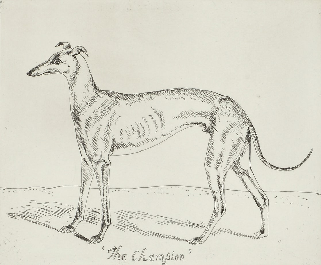 Elizabeth Blackadder, The Champion, 1995