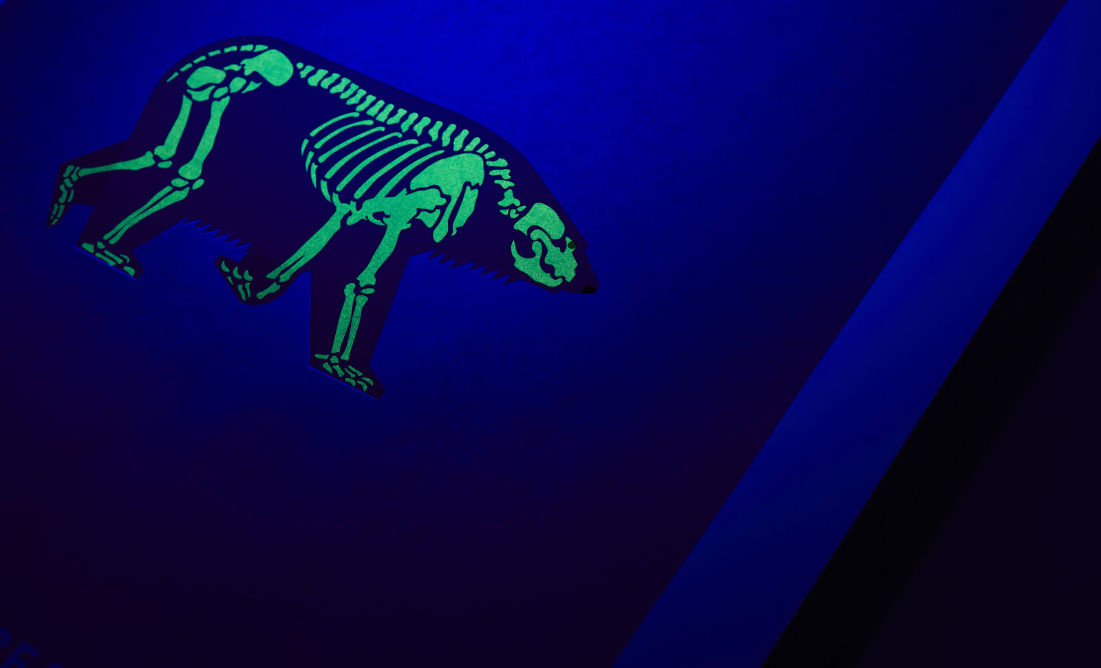 Under the Skin, Polar Bear, 2015