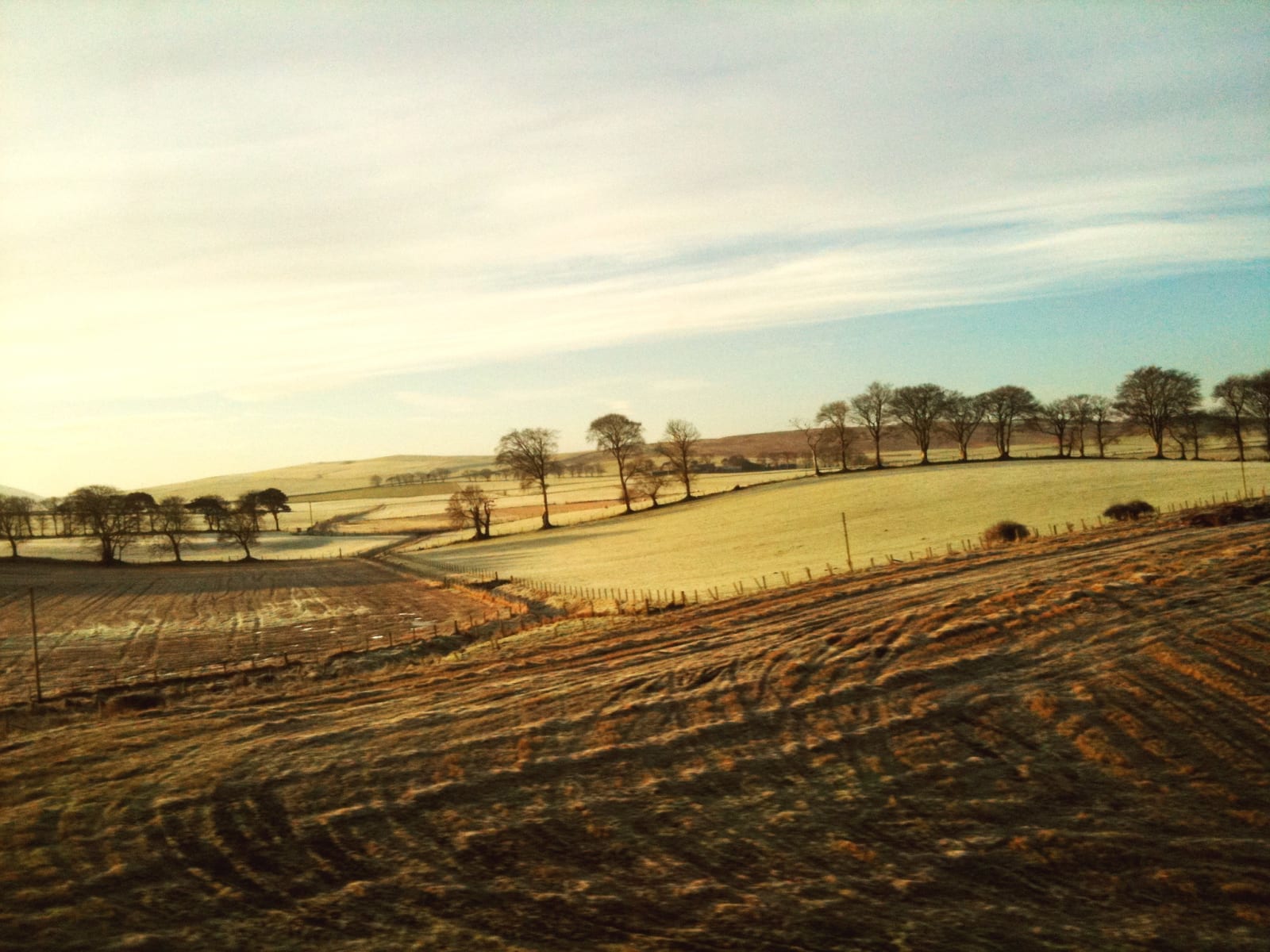 Claire Forsyth, The Golden Hour