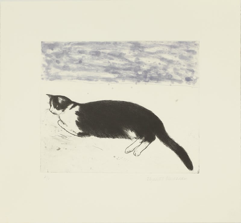 Elizabeth Blackadder, Fred, 2003