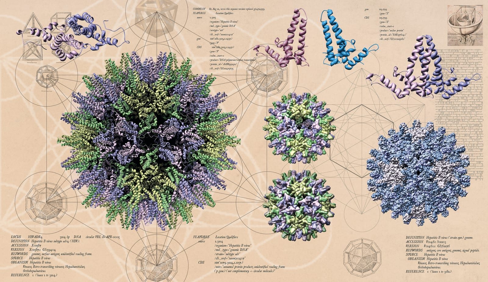 Murray Robertson, HBV Architecture I, 2007