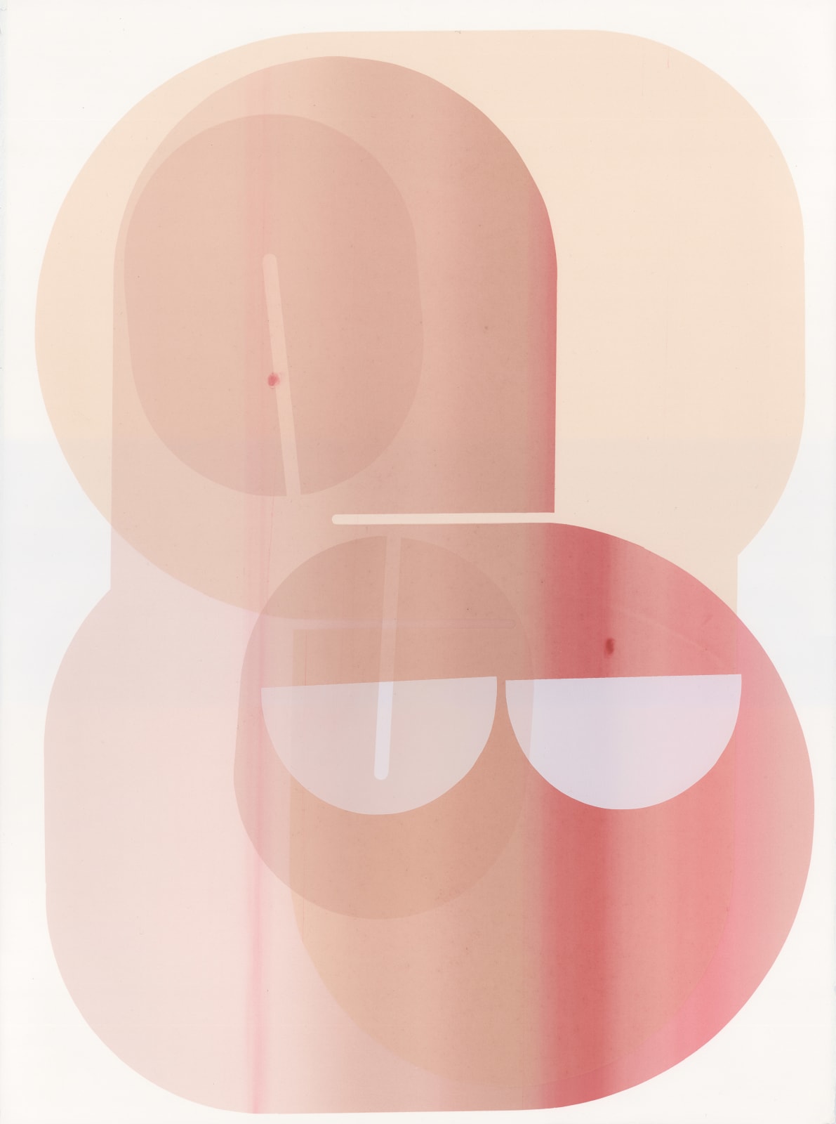 Claire Barclay, Thinskins, 2024-25