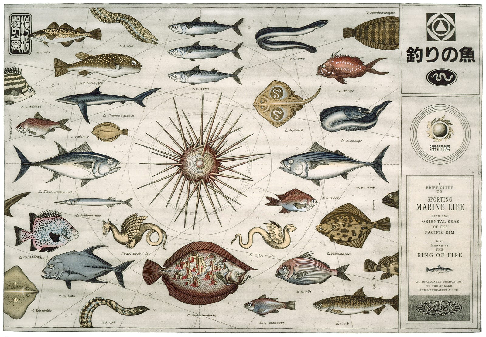 Murray Robertson, A Brief Guide 2025, 2025