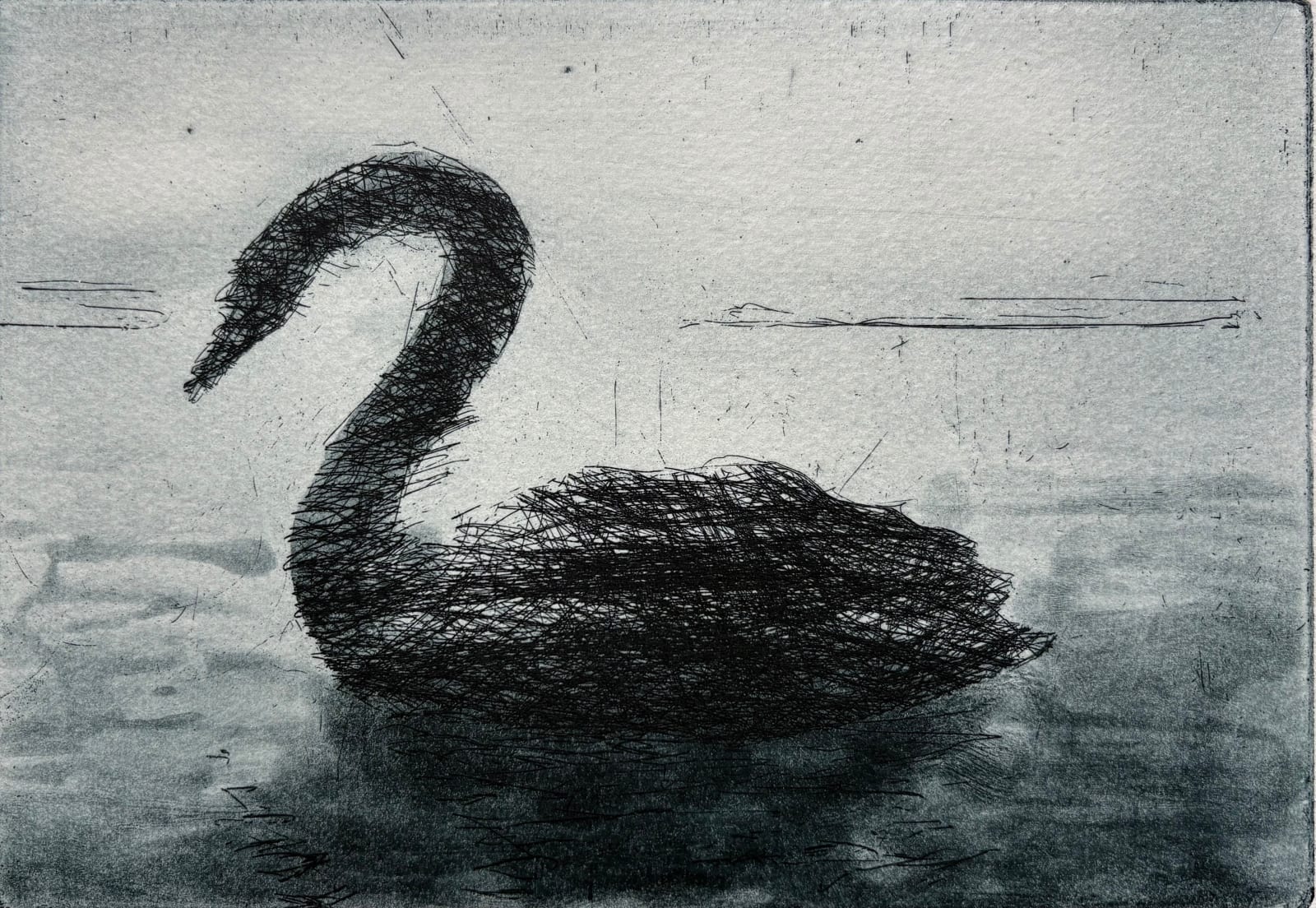 John Ferry, Black Swan, 2024
