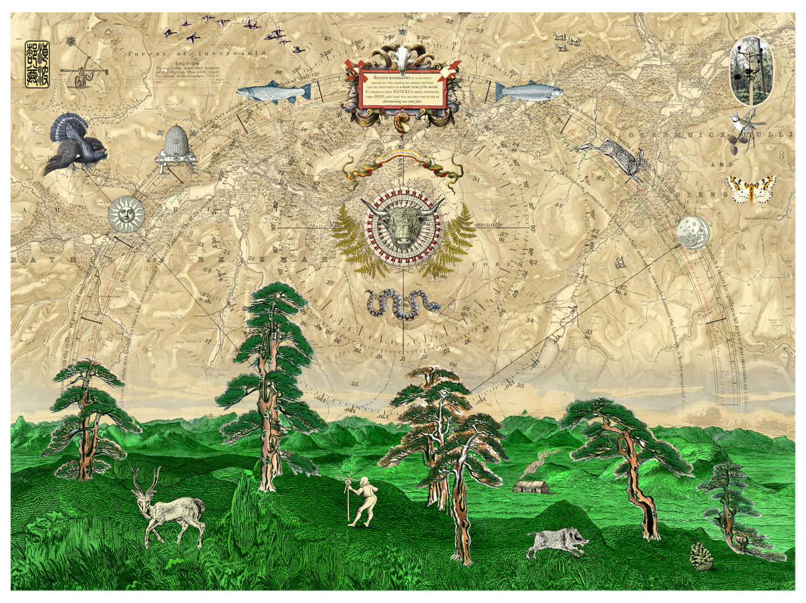 Murray Robertson, A Tale Too Slow I, 2019