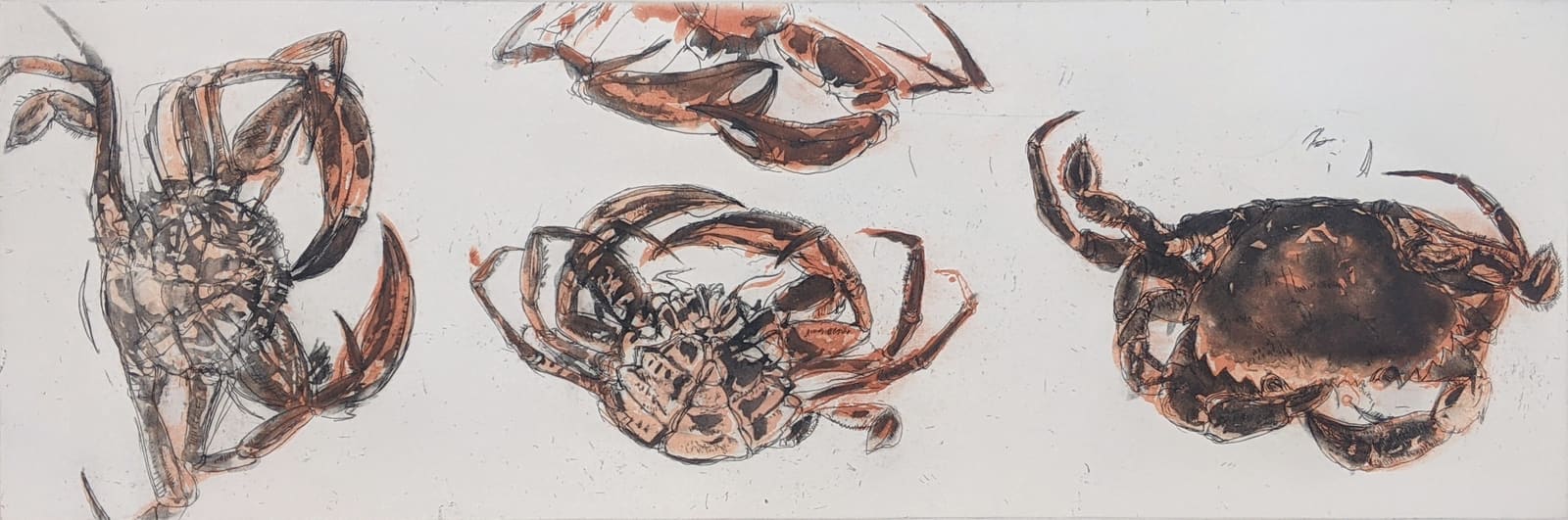 Elizabeth Blackadder, Crabs, 2010